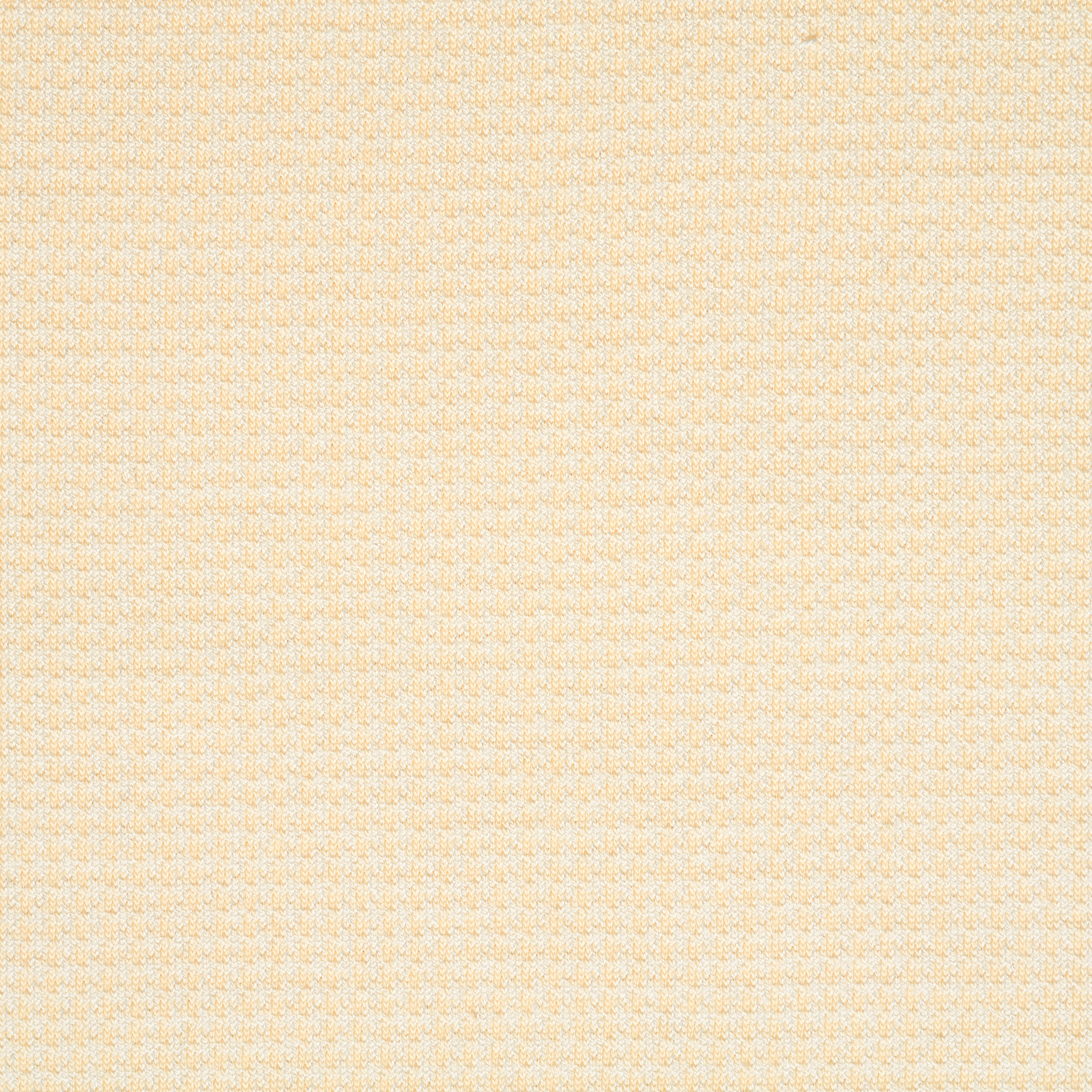 JERSEY, COTTON, MICRO DESIGN, ANISE FLOWER (F000042527) - Texture