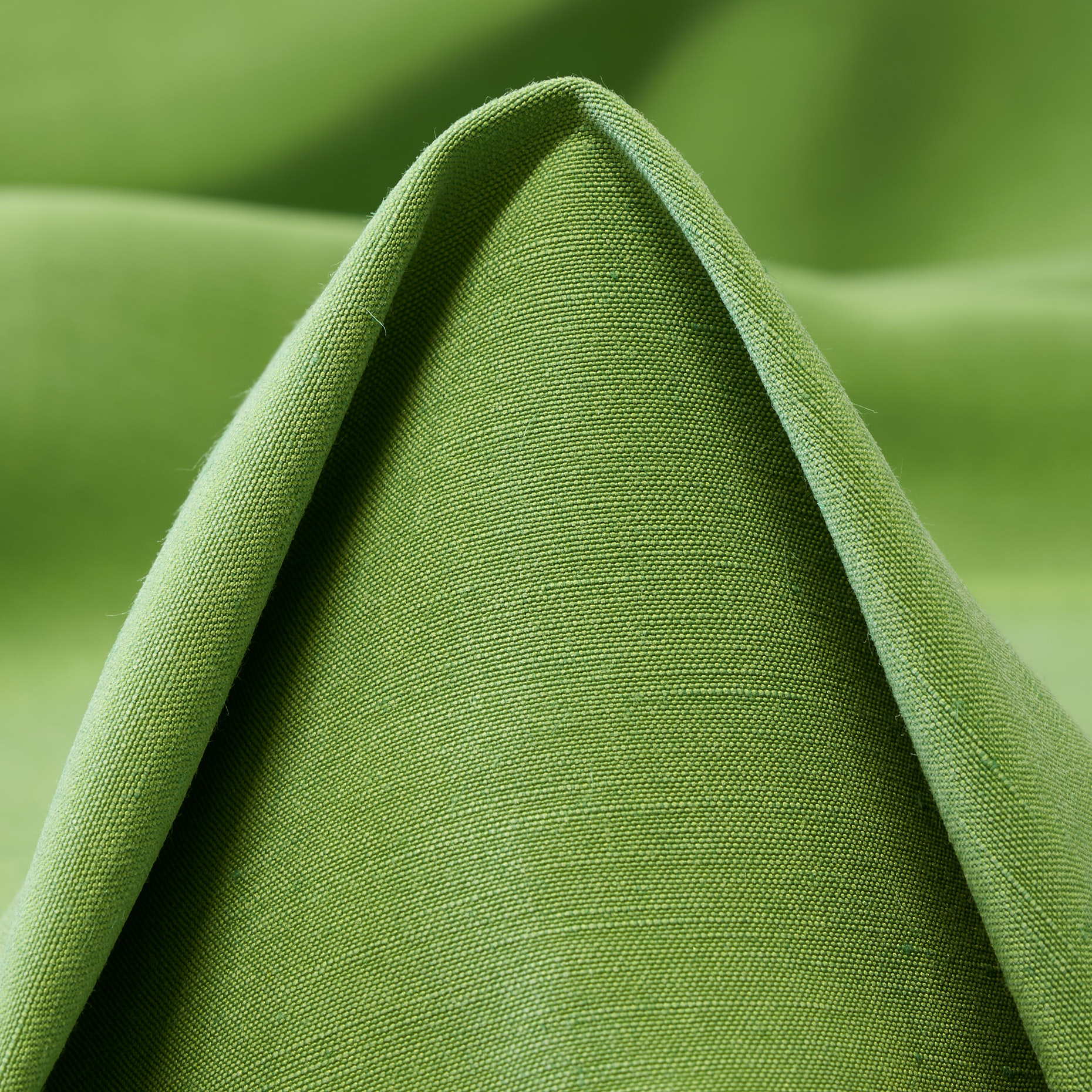 SILK, LINEN, FOLIAGE (T0000503)