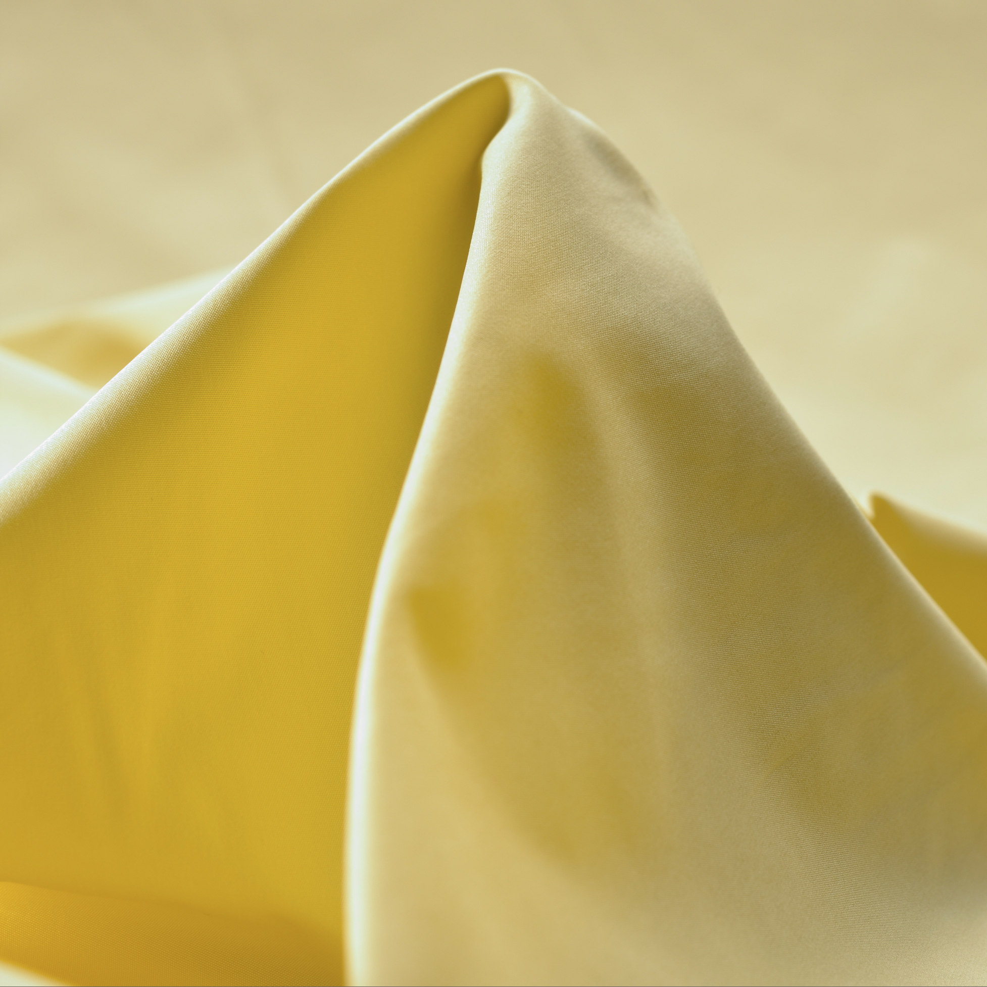 OUTDOOR, ENDIVE (F000003784)