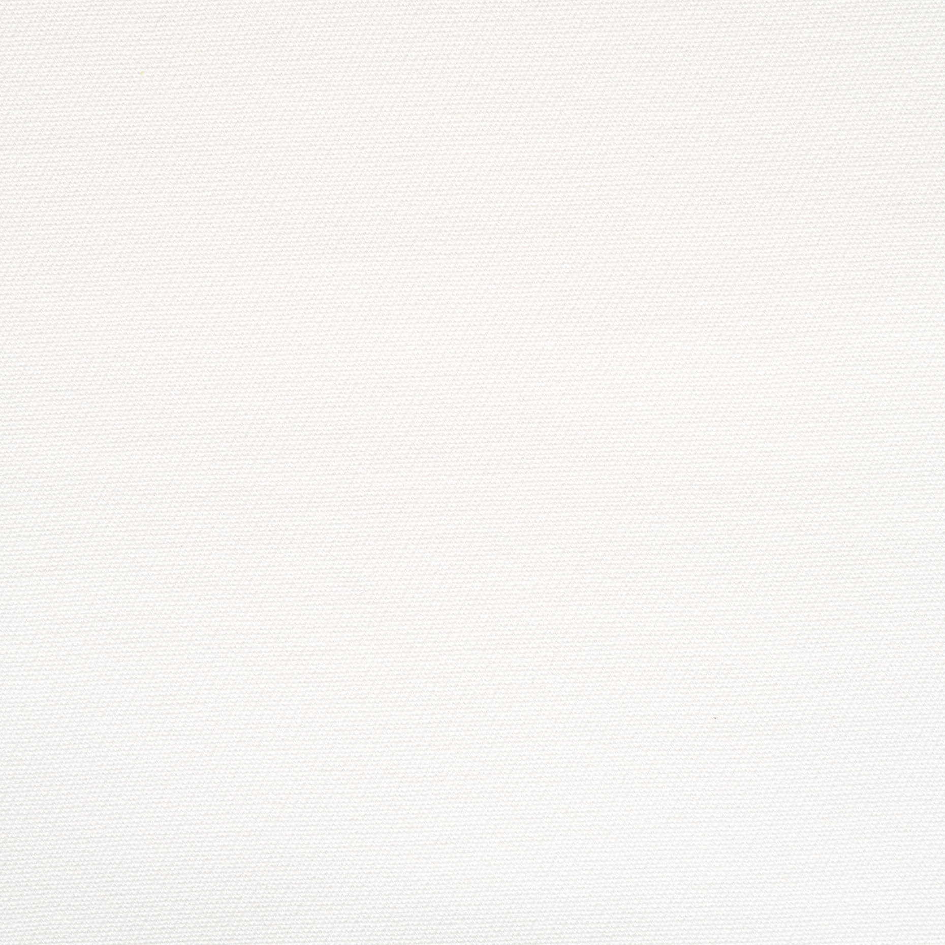 TWILL, COTTON, ELASTIC, BRILLIANT WHITE (F000045205) - Texture