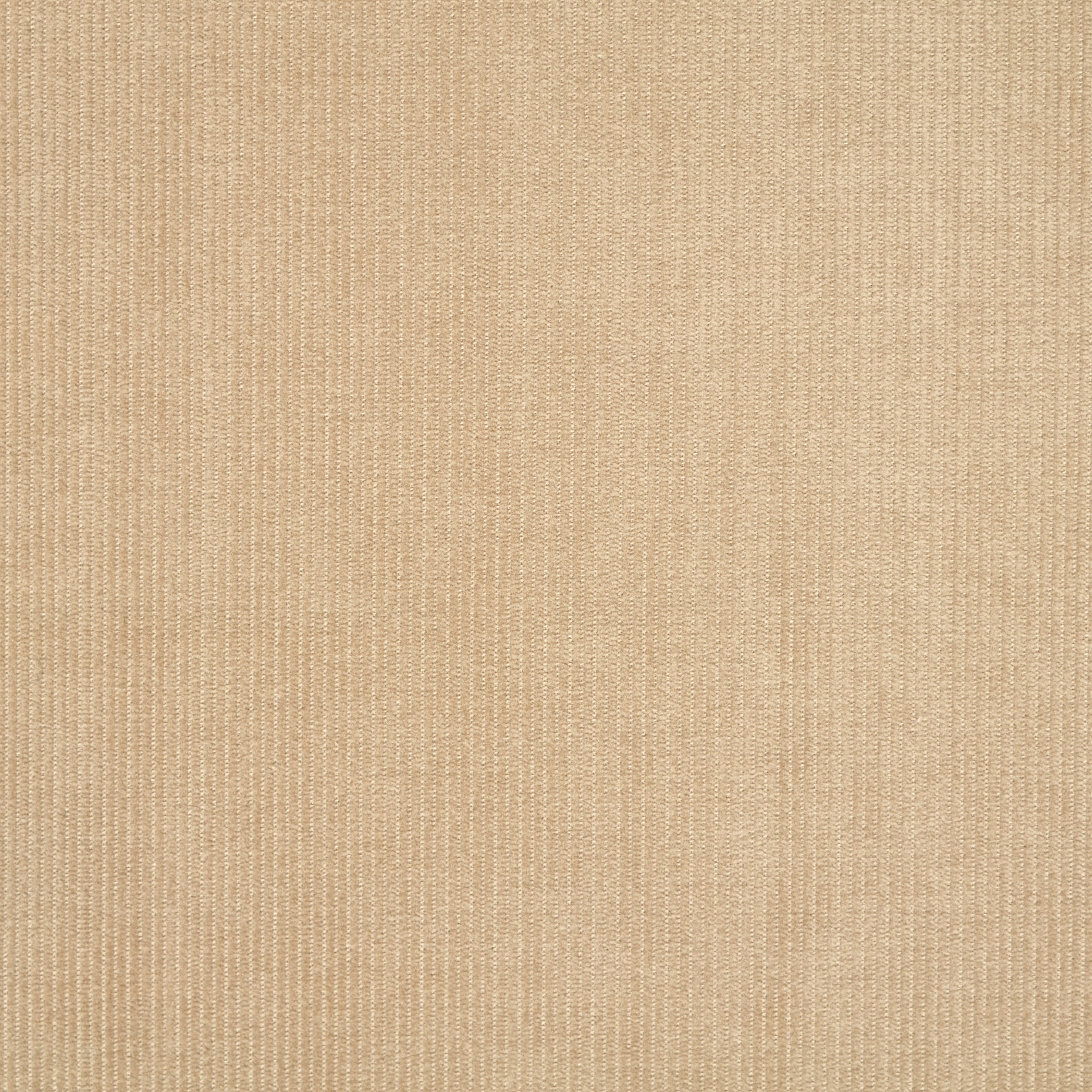 Вельвет, Хлопок, Стрейч, Taos Taupe (F000044167) - Ткань