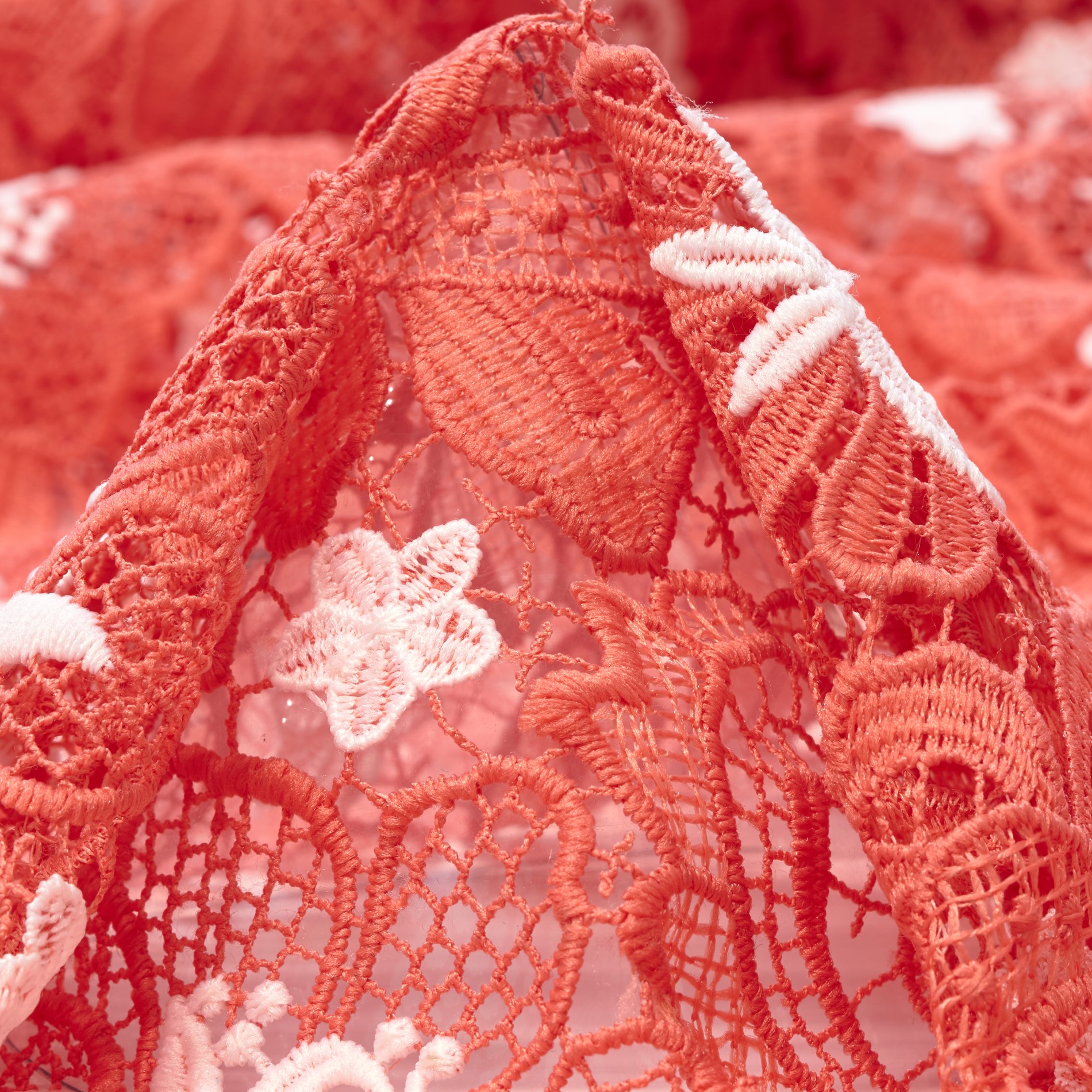 LACE, FLORAL, FLAMINGO (F000033270)