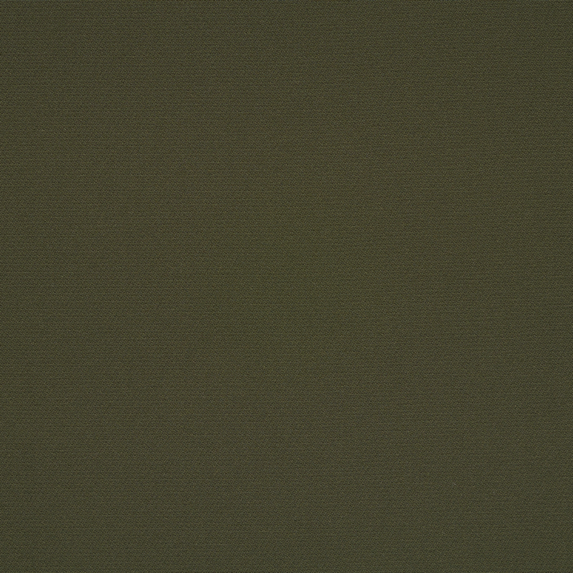 TECHNO STRETCH, POLYAMID, HIGH ELASTICITY, GRAPELEAVES (F000041941) - Texture