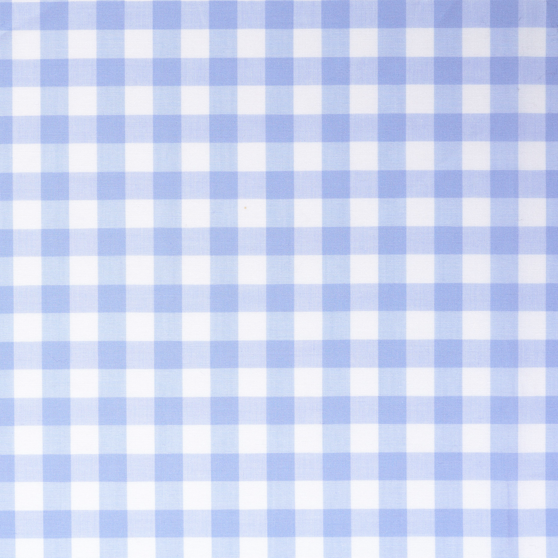 POPLIN, COTTON, CHECK, DUTCH CANAL&BRILLIANT WHITE (F000039332) - Texture