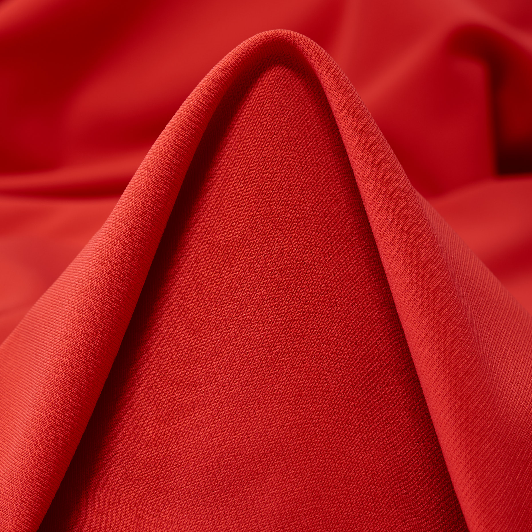 JERSEY, CHERRY TOMATO (F000043028)