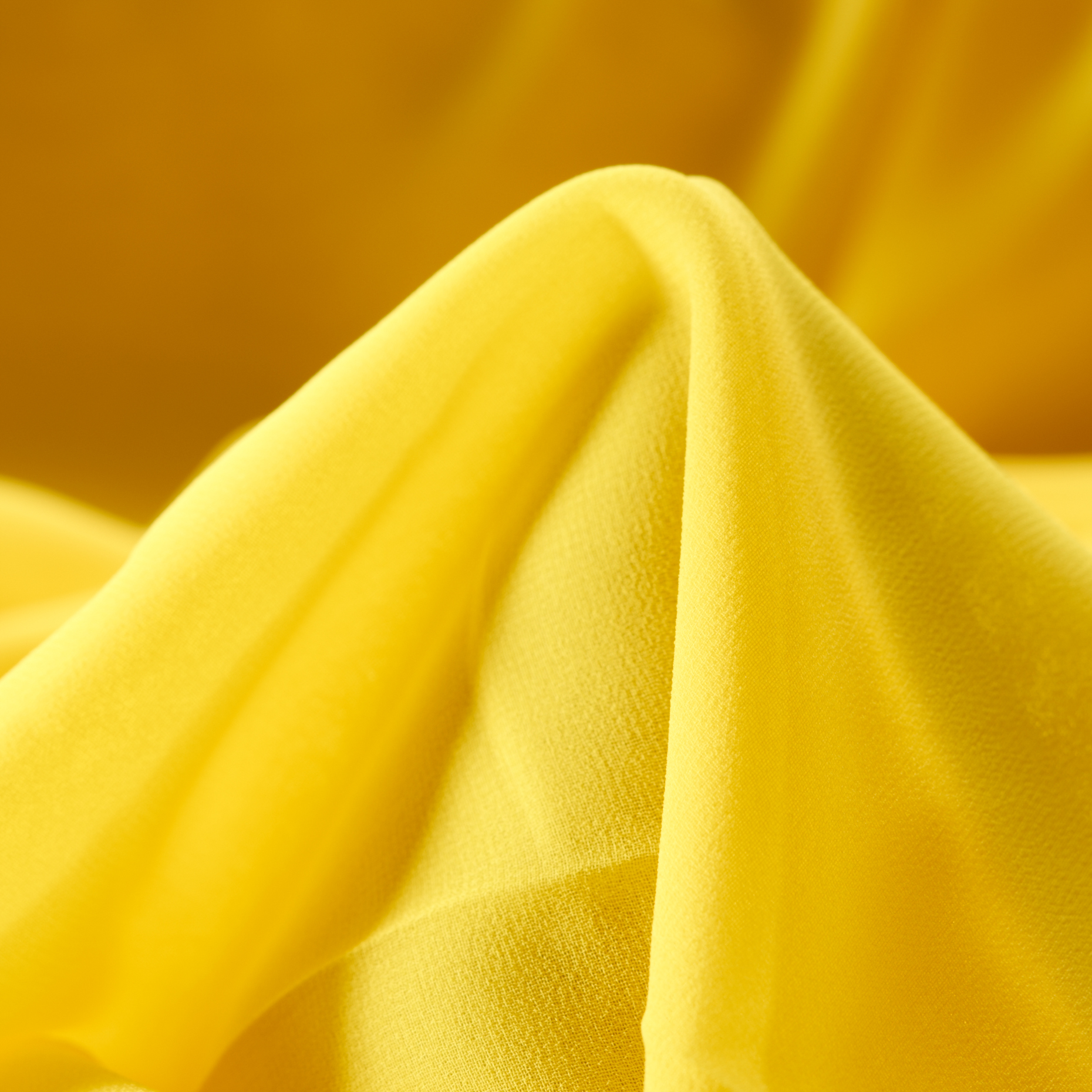 Chiffon, Golden Kiwi (F000021096)