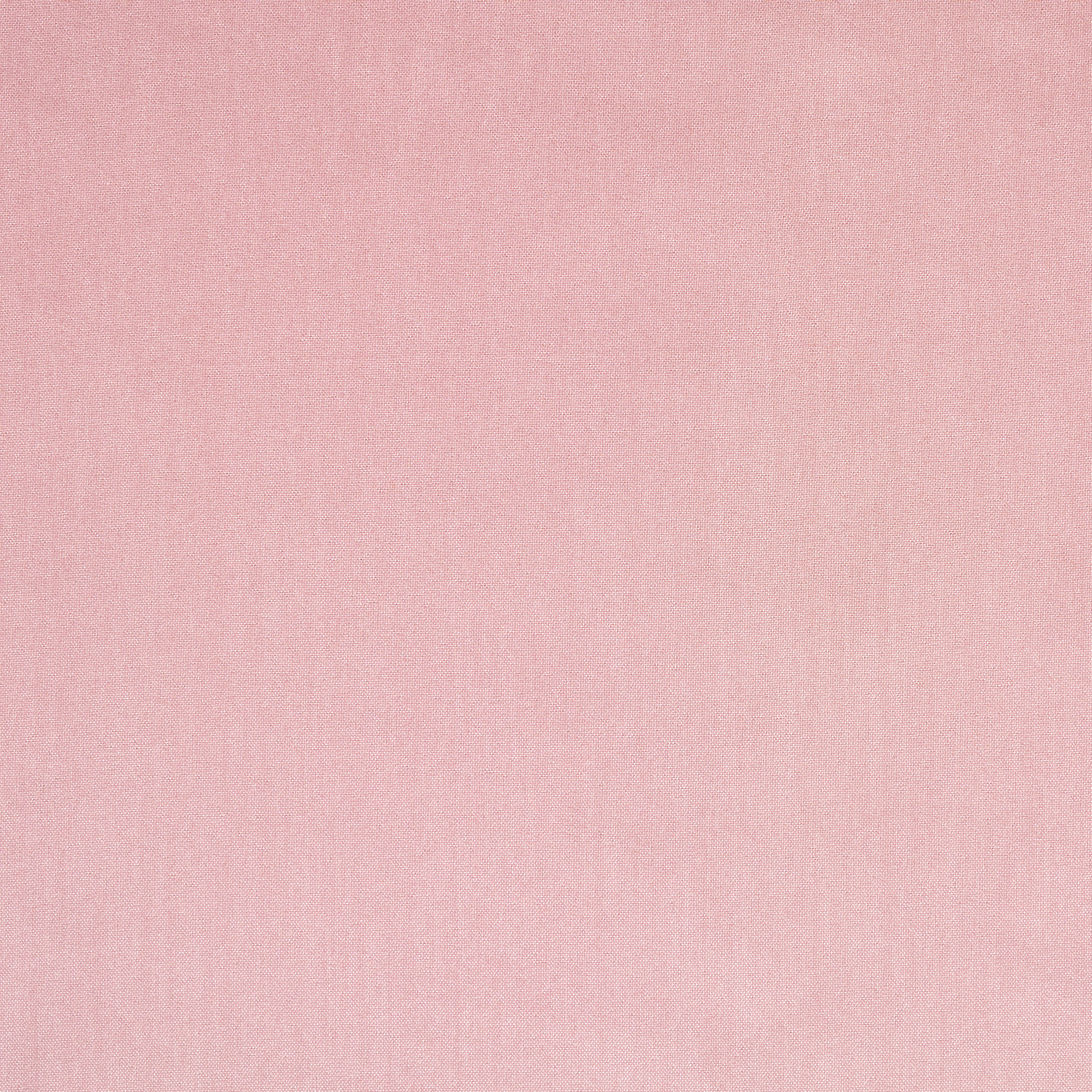 POPLIN, COTTON, ELASTIC, ROSE QUARTZ (F000043372) - Texture