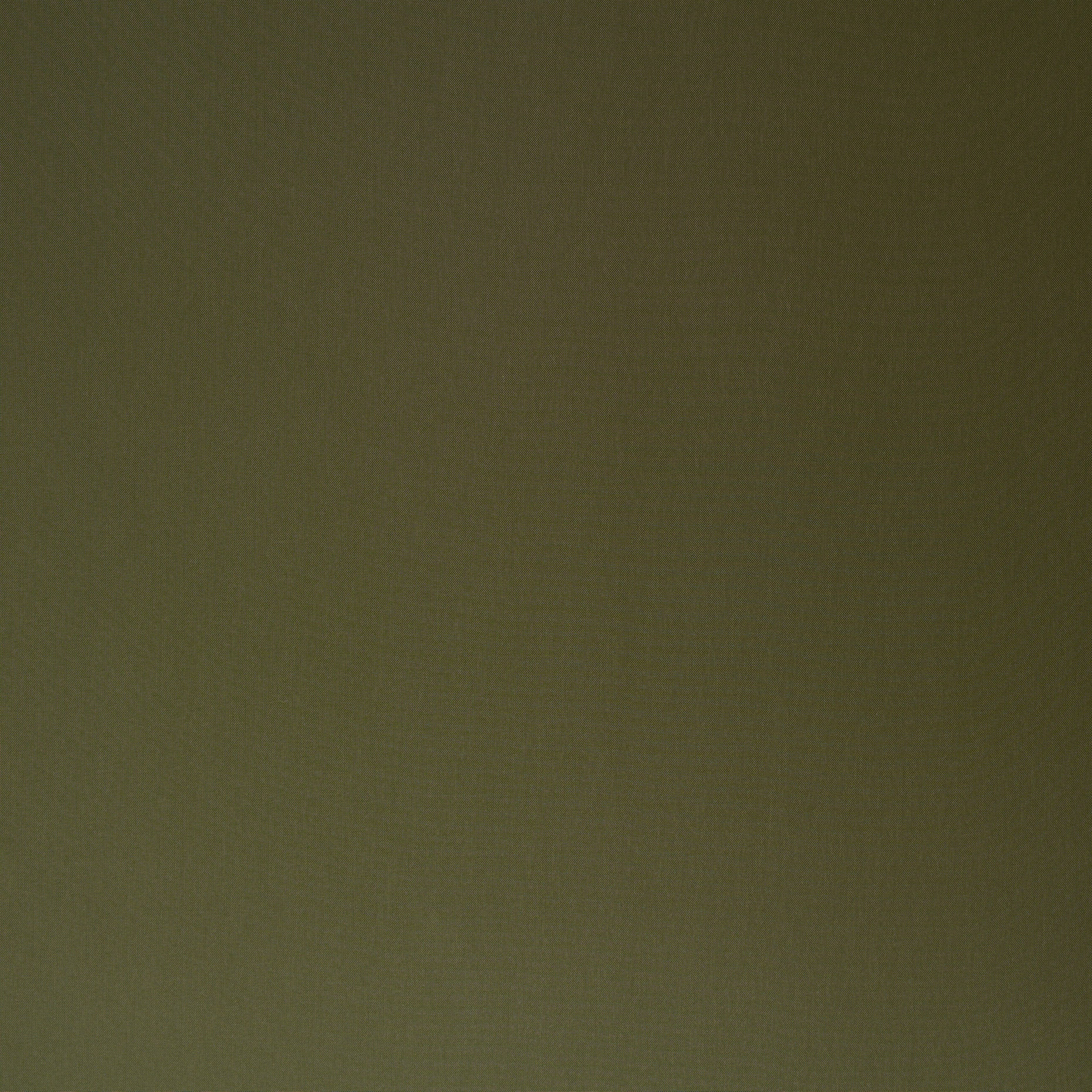 Аутдор, Нейлон, Capulet Olive (F000039370) - Ткань