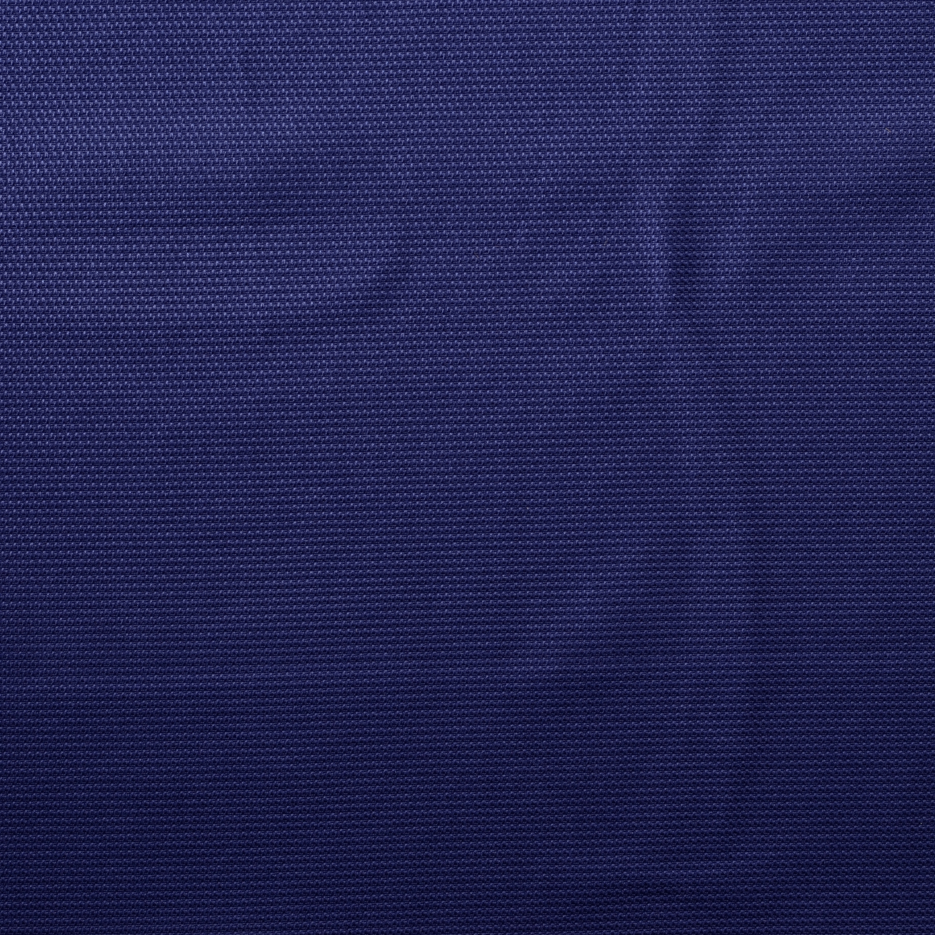 Cotone, Micro Struttura, Tessuto Rigido, Deep Ultramarine (F000023834) - Trama