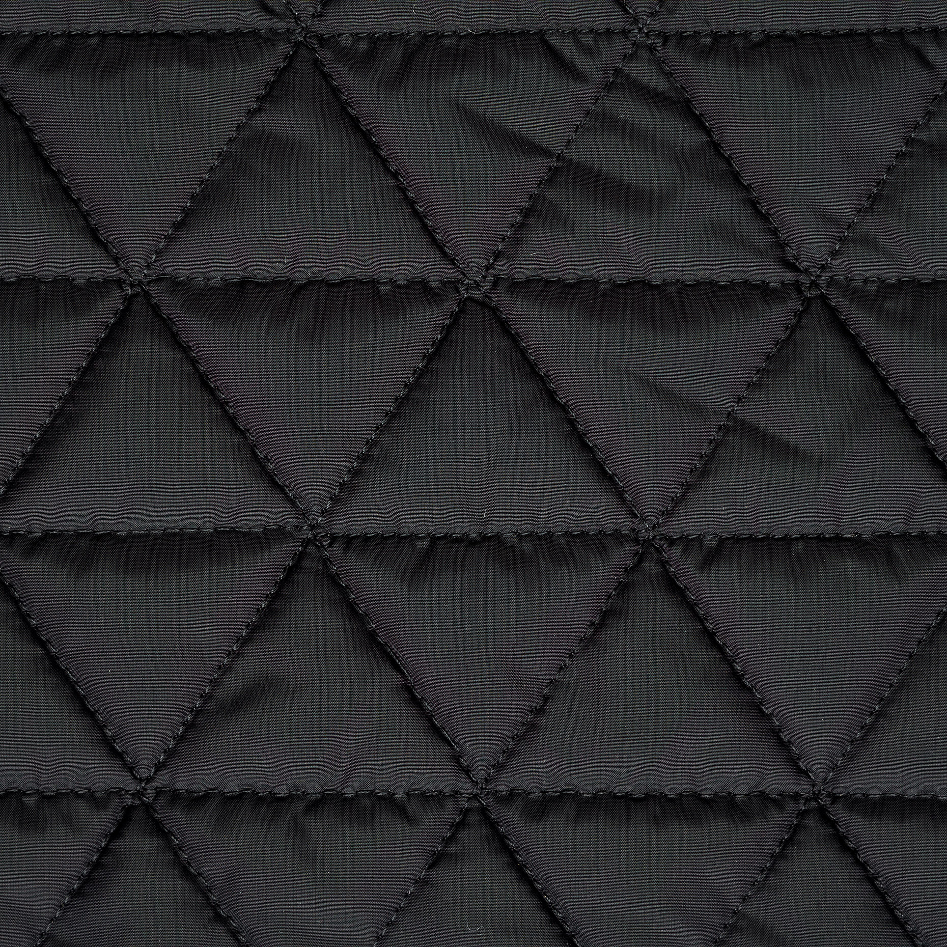 OUTDOOR, NYLON, QUILTED, RAVEN BLACK (F000044258) - Texture