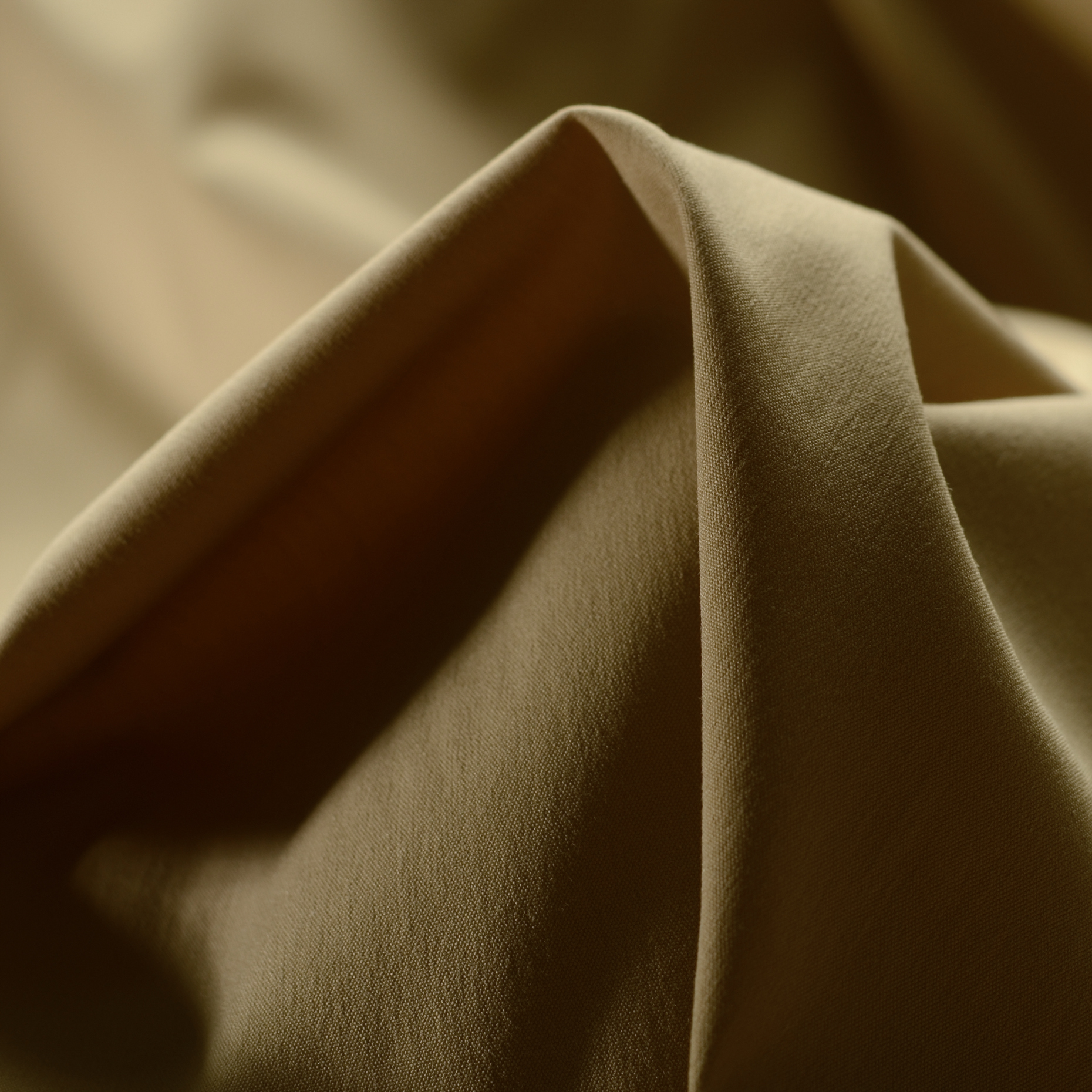 POPLIN, COTTON, HIGH ELASTICITY, BEIGE