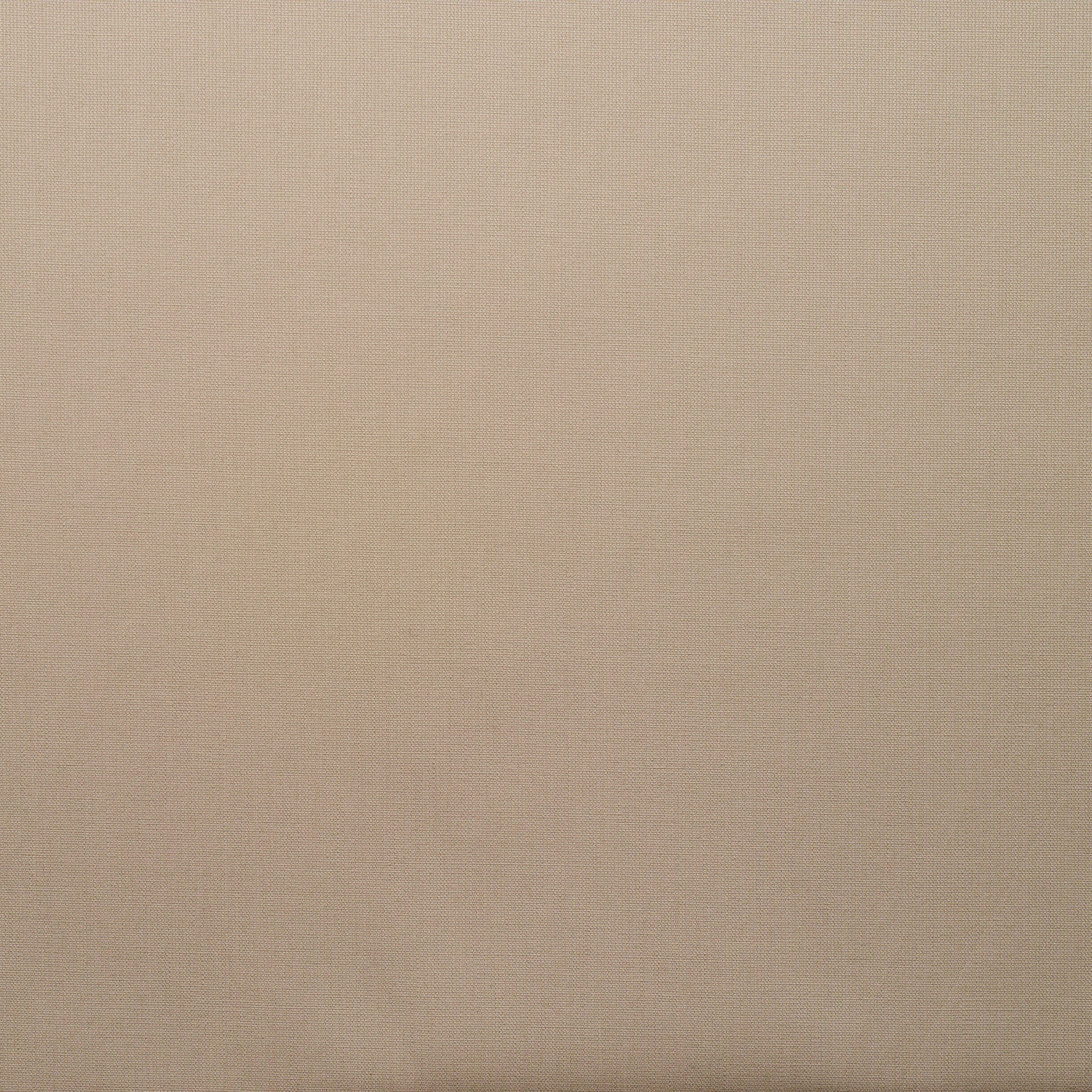 COTTON, ELASTIC, OYSTER GRAY (F000024048) - Texture