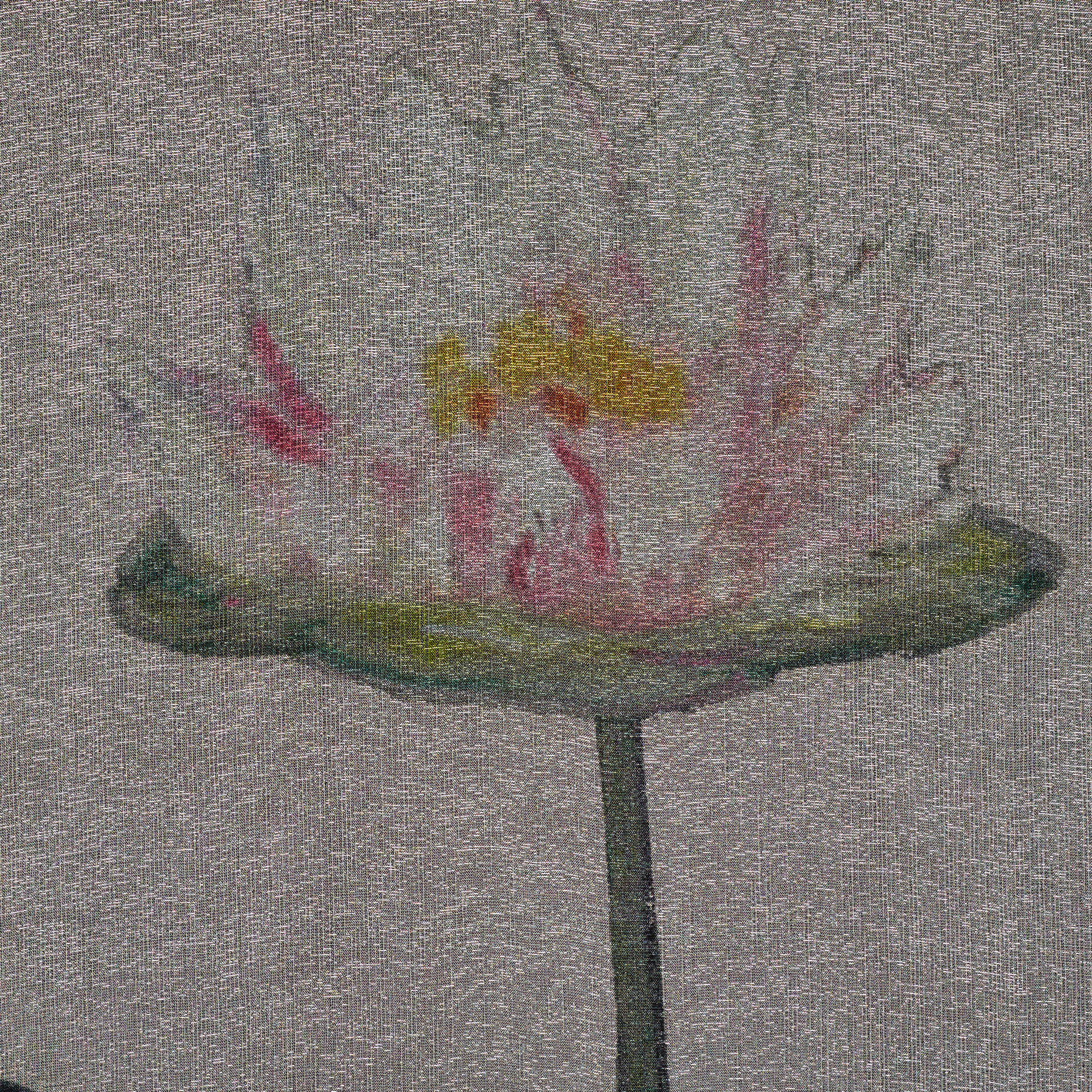 Jedwab, Krepa, Wydrukowany, Silver (F000031958) - Tkana