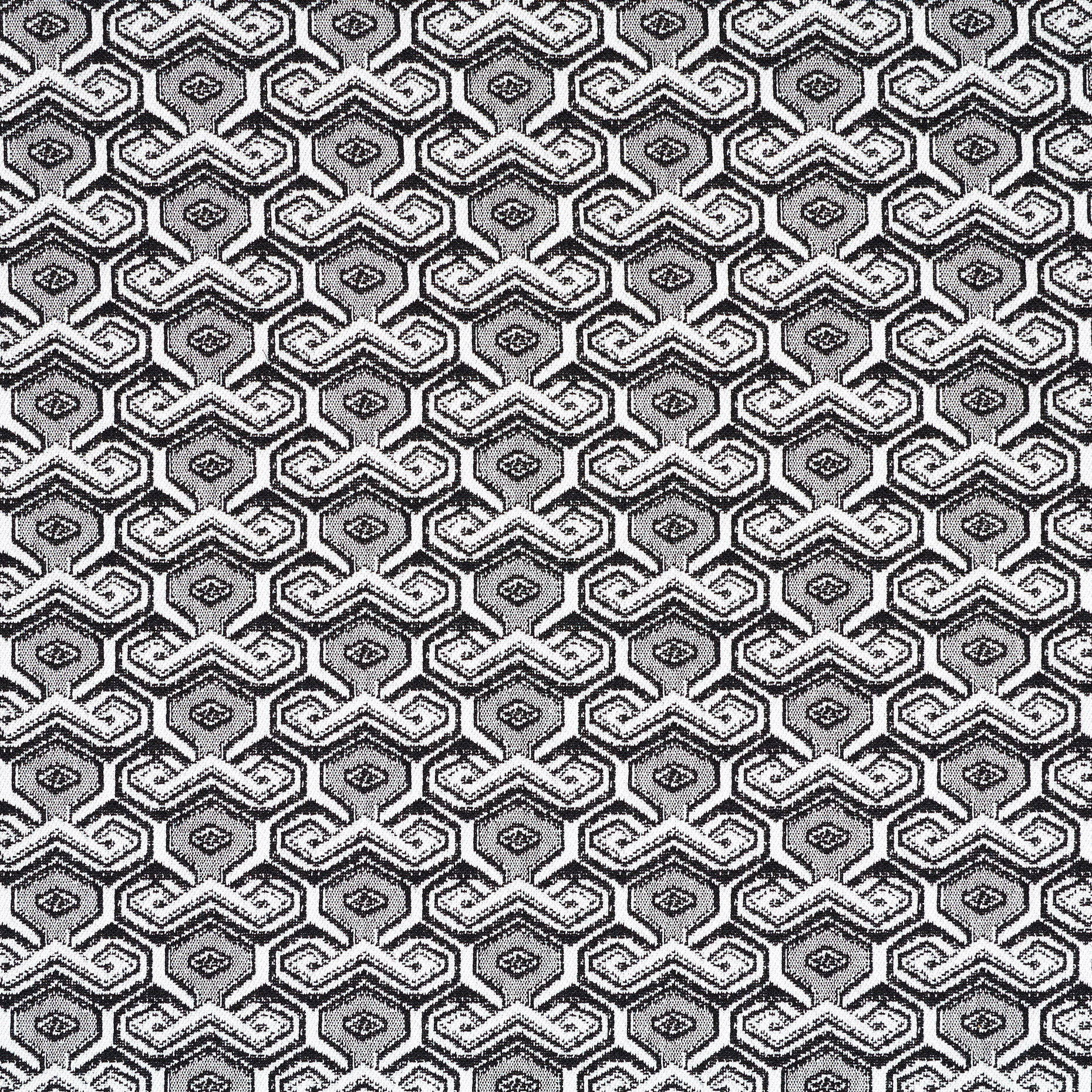 JACQUARD, COTTON ELASTIC, LUREX, KIT&RAVEN BLACK (F000041468) - Texture