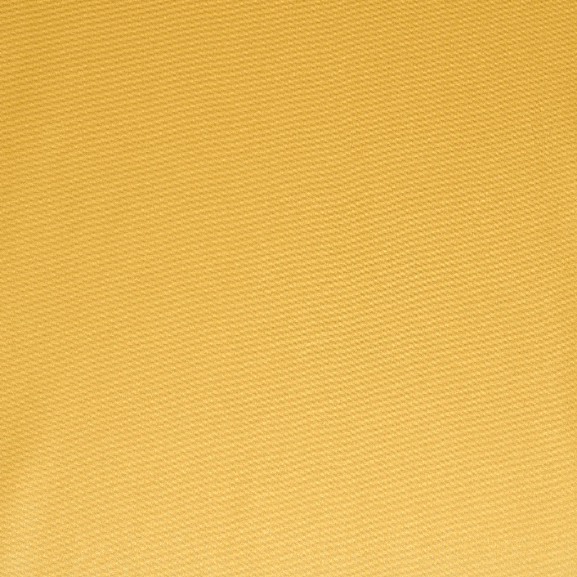 Аутдор, Прозрачная, Блестящая, Corn (F000041868) - Ткань