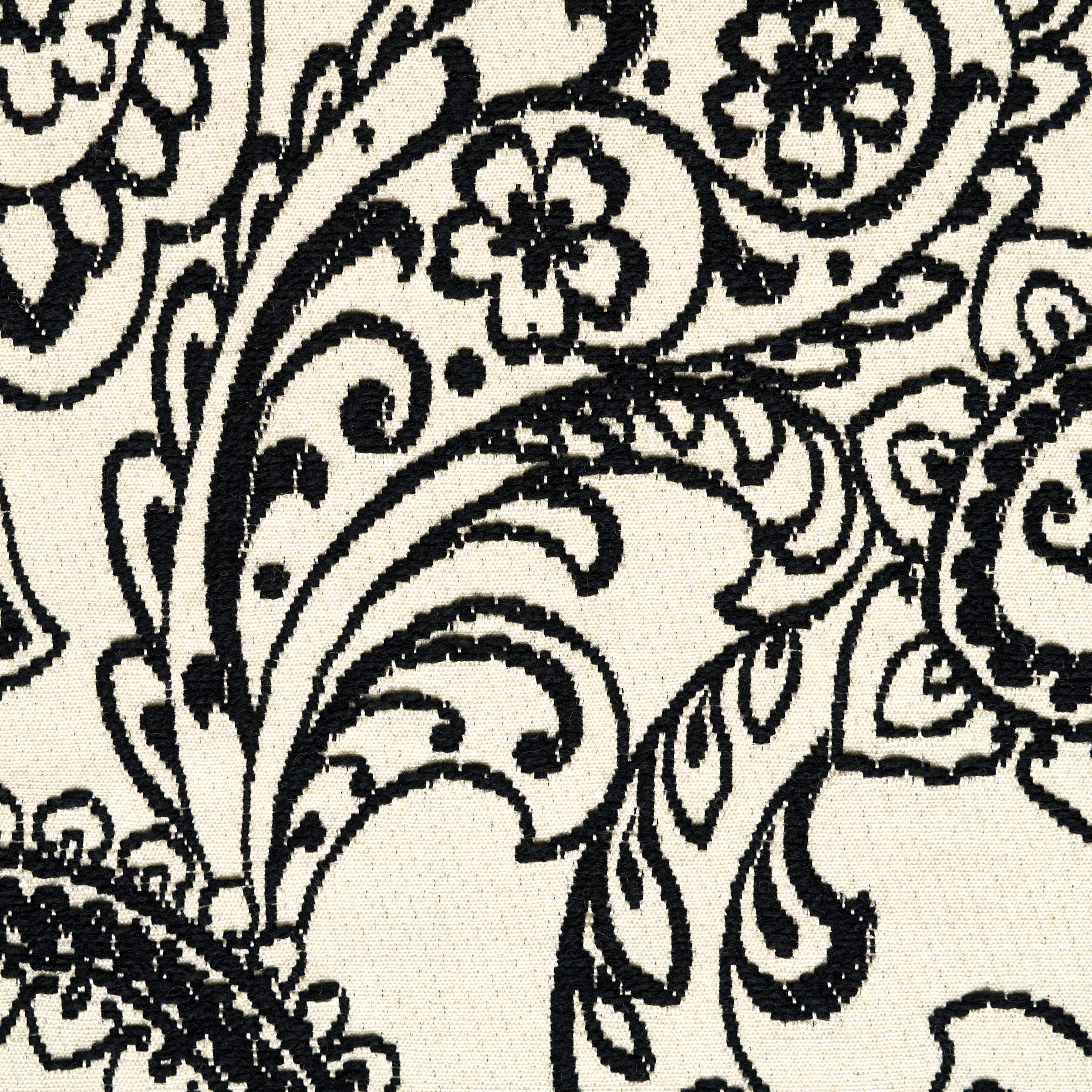 Jacquard, Coton Mixte, Paisley, Raven Black&Snow White (P000003250) - Tissage