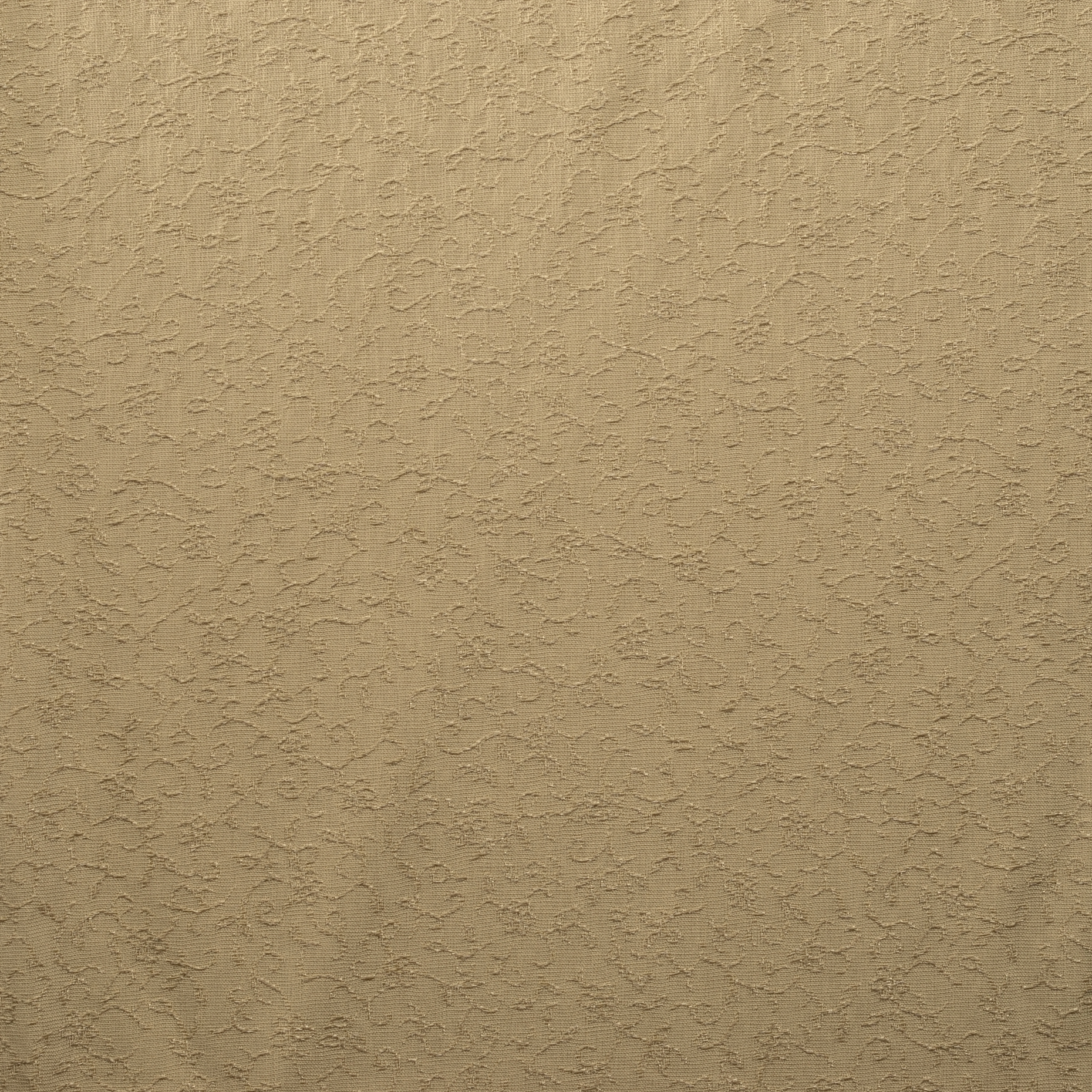 JACQUARD, COTTON ELASTIC, TONE ON TONE, BISCUIT (F000016667) - Texture