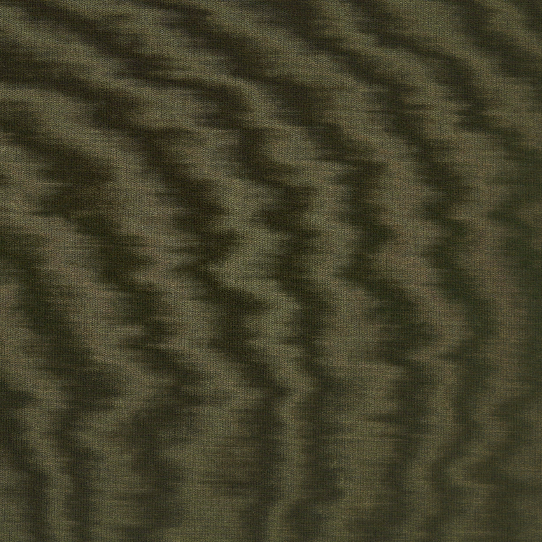 OUTDOOR, COTTON BLEND, CAPULET OLIVE (F000041821) - Texture