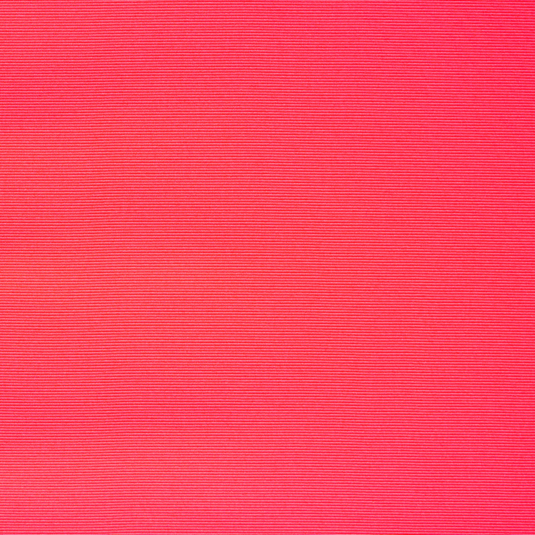 RIBS, RIBS, NEON PINK (F000042690) - Texture