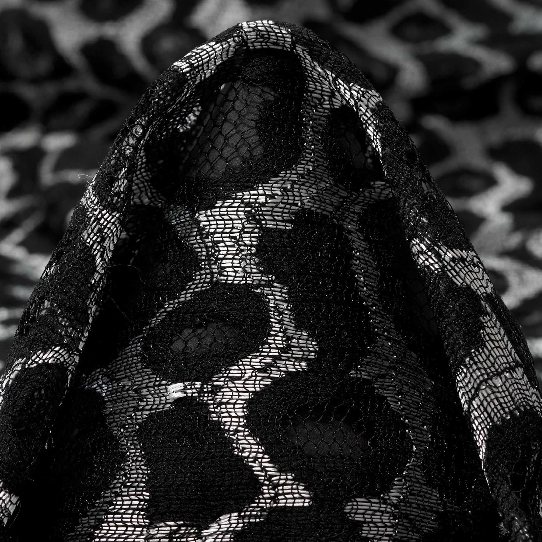 Encaje, Lúrex, Silver&Raven Black (F000045538)