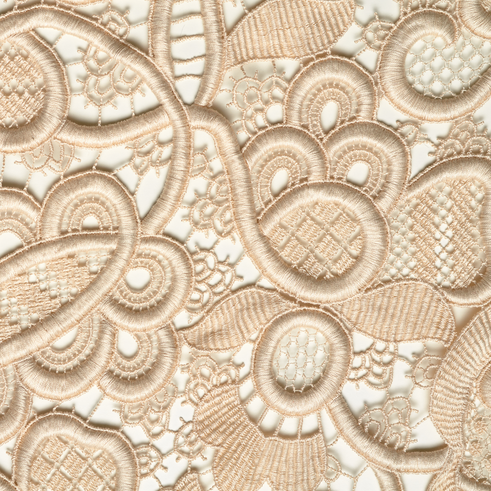 LACE, COTTON, FLORAL, VANILLA (F000033773) - Texture