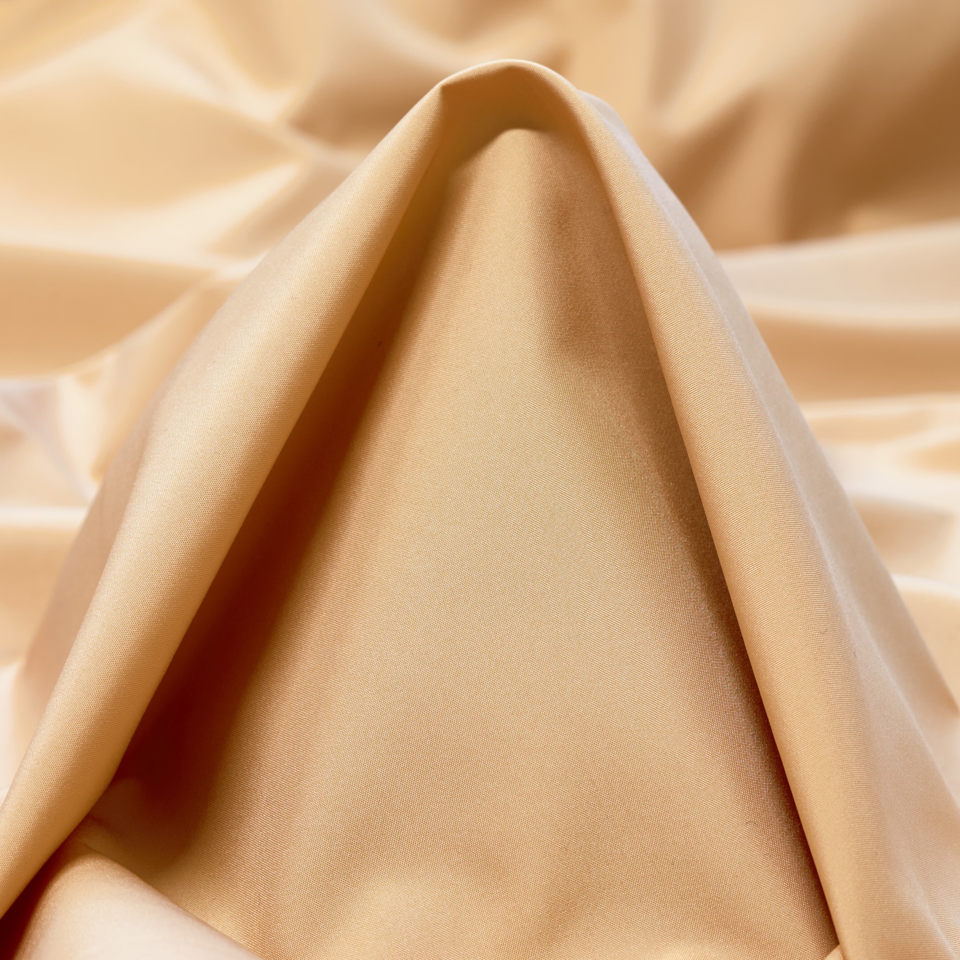 OUTDOOR, NYLON, LION (F000030898)