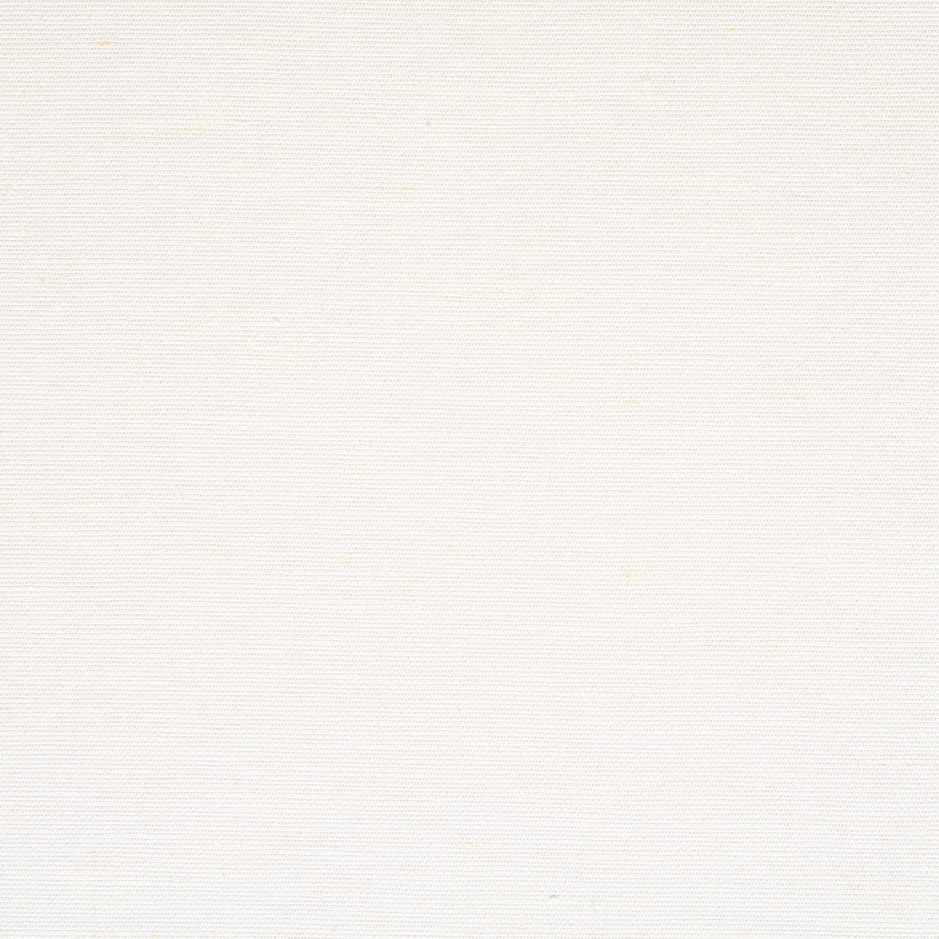 Coton , Lin, Elástique, Lucent White (F000044813) - Tissage