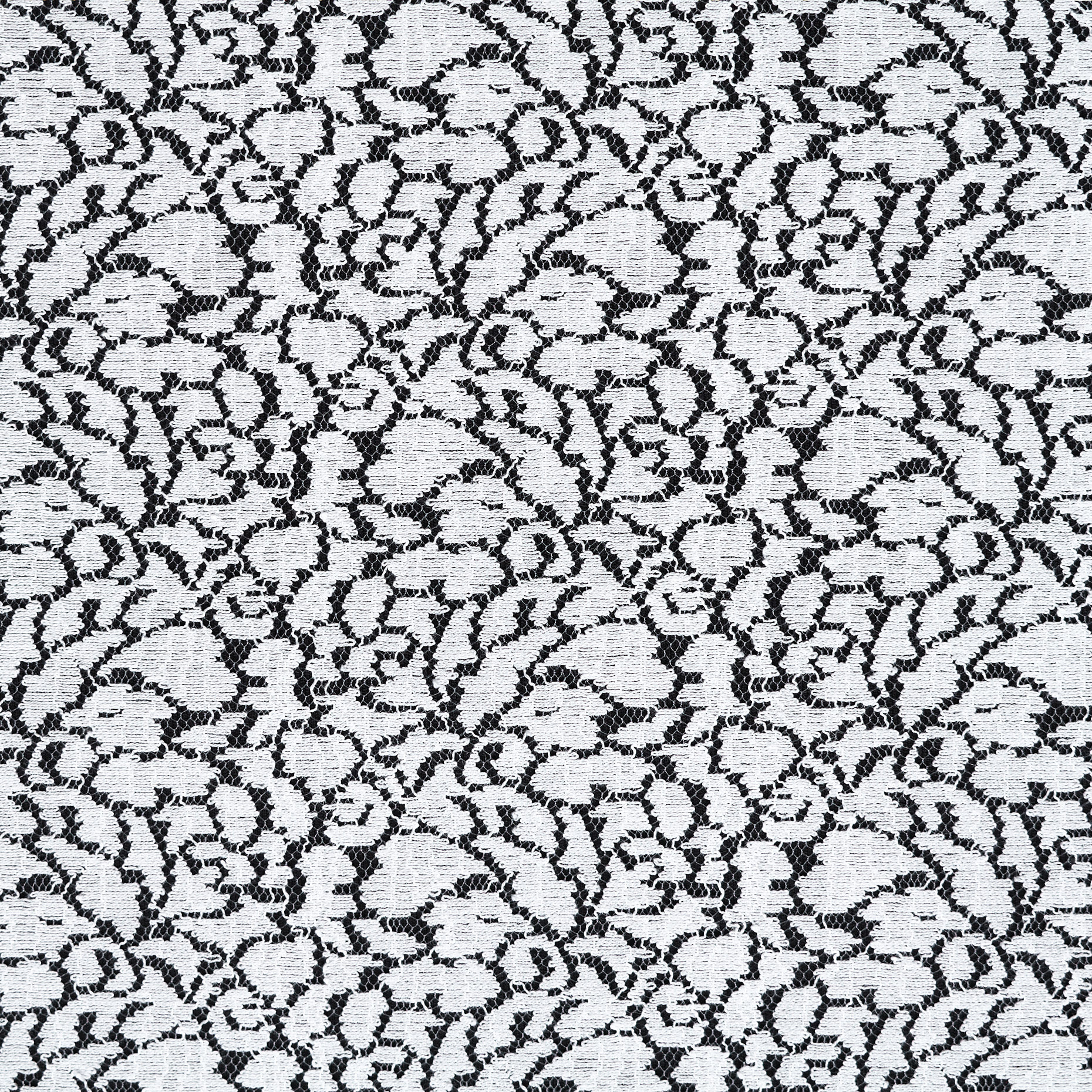 LACE, COTTON, FLORAL, BRILLIANT WHITE (F000046202) - Texture