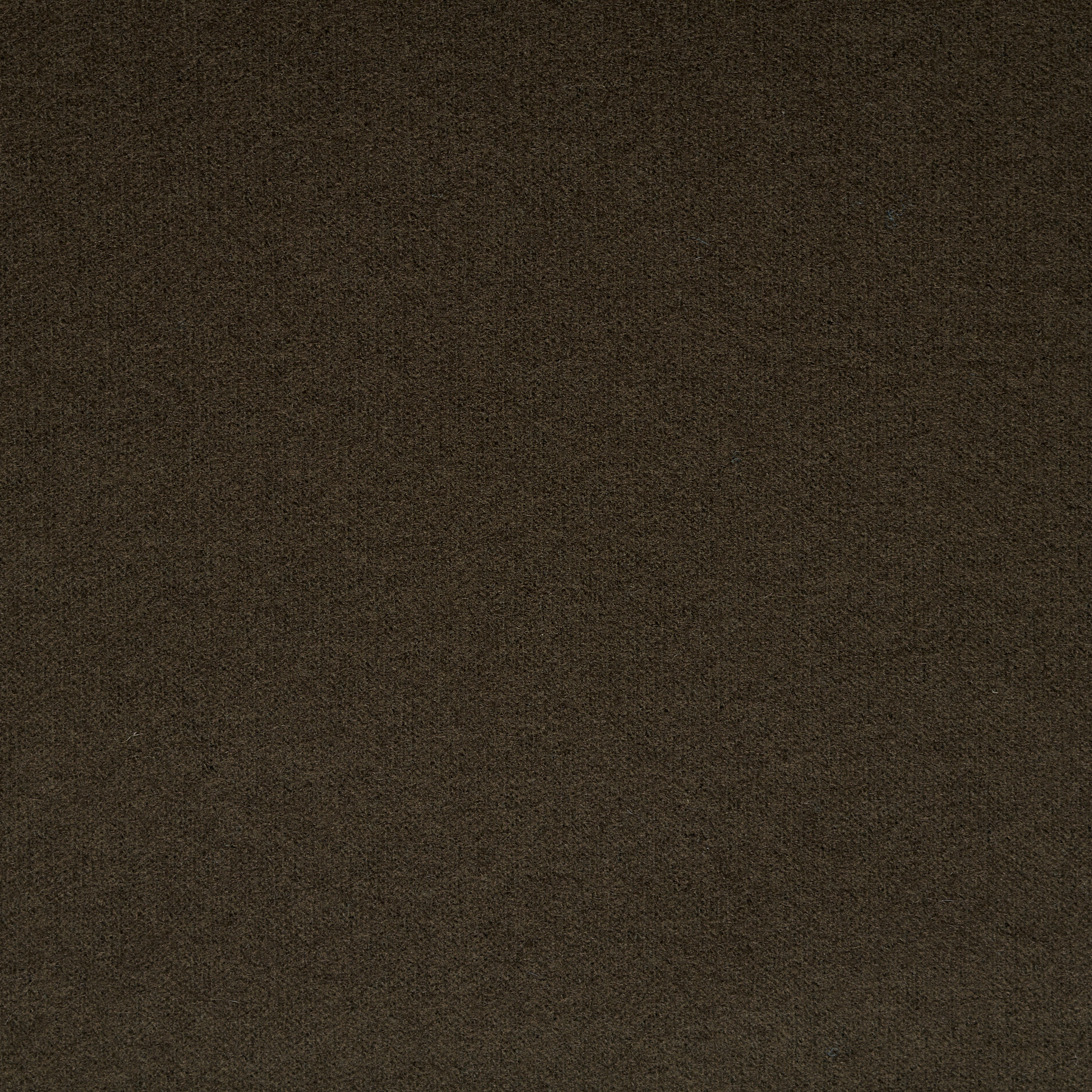 Jersey, Wool, Burnt Olive (F000030821) - Tejido