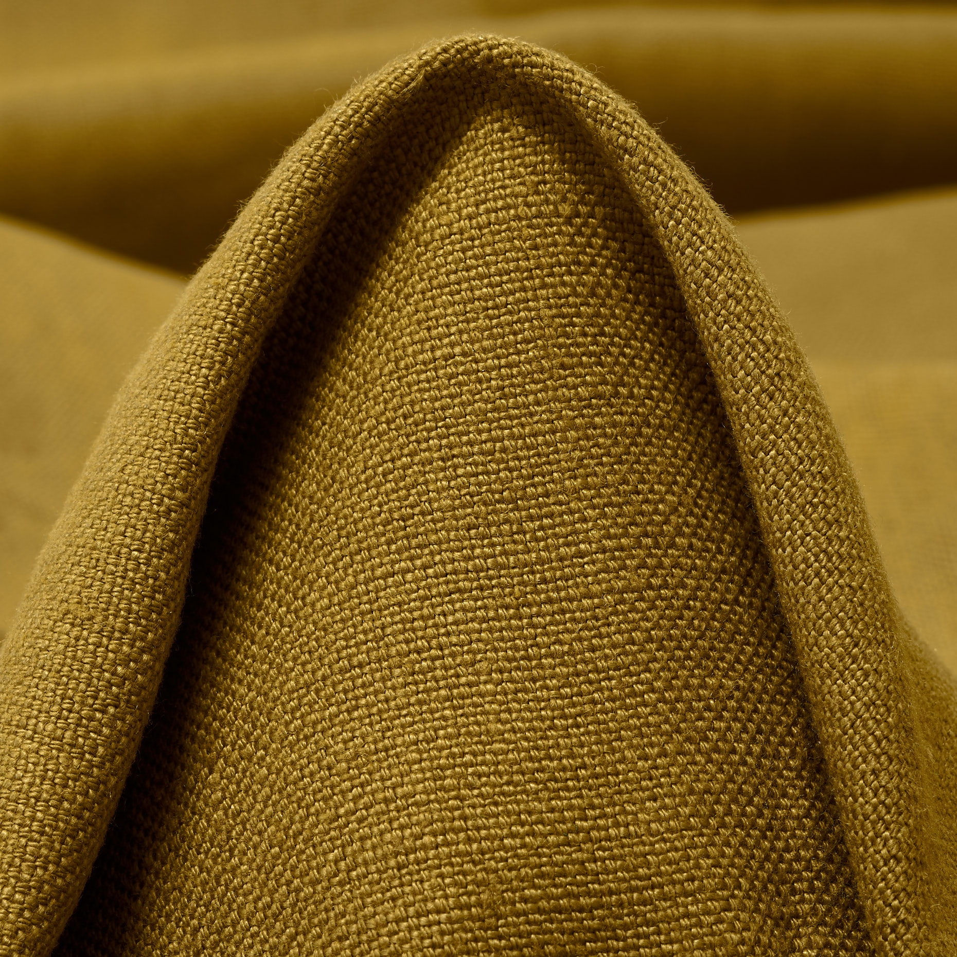 LINEN, OLIVE OIL (C0003450)