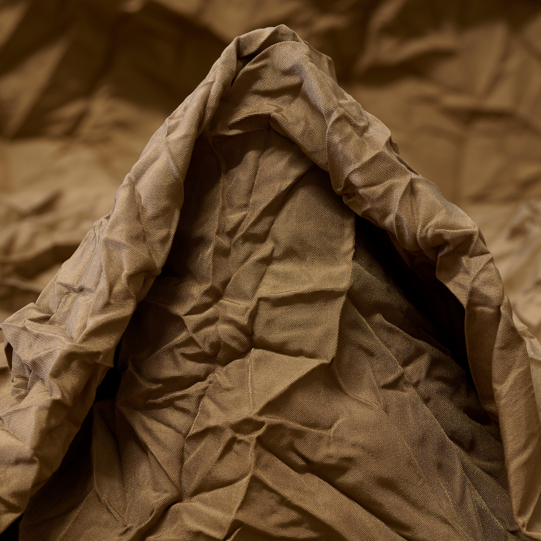 CRASH, WRINKLY, CORNSTALK