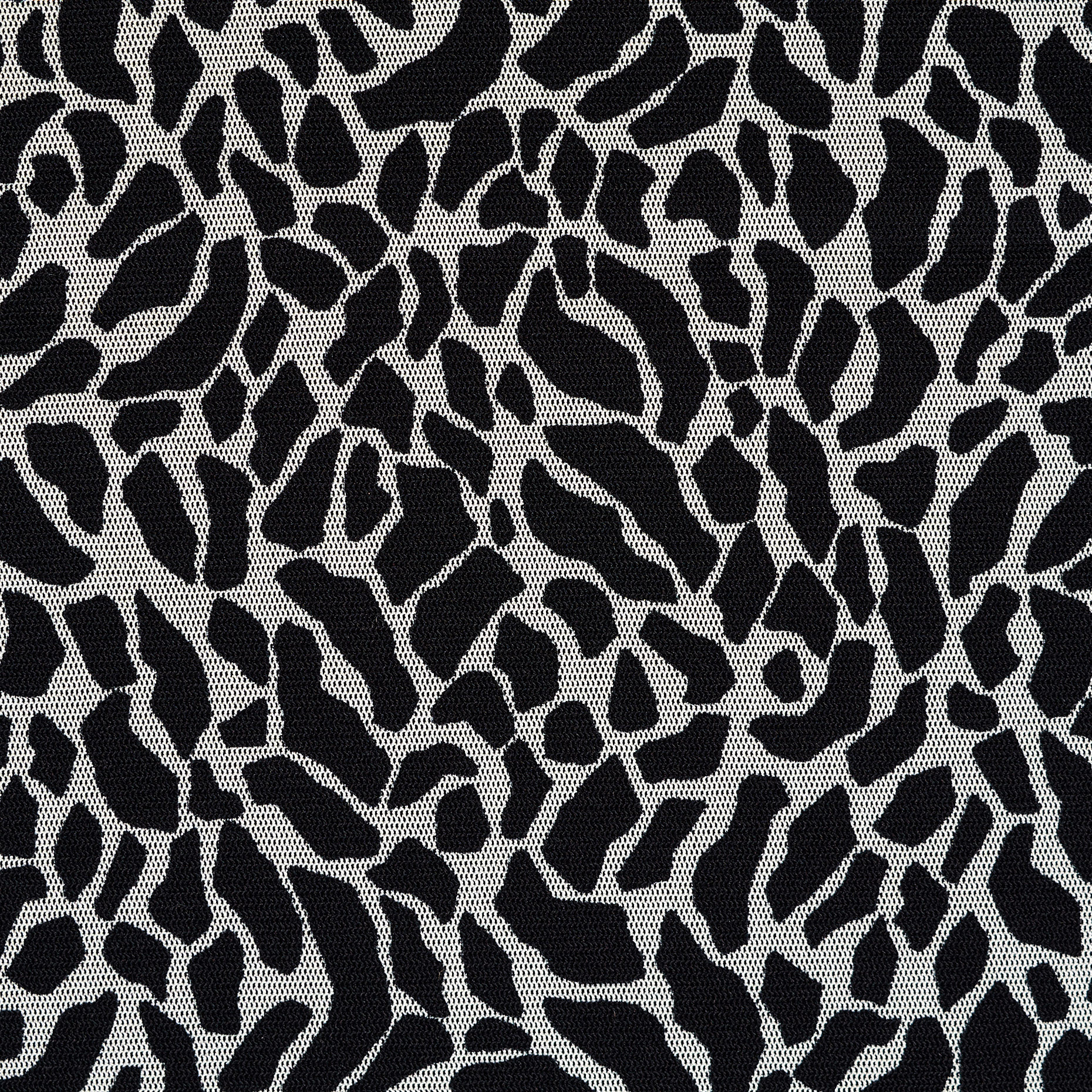 Сетка, Принт, Стрейч, Ivory&Raven Black (F000042923) - Ткань