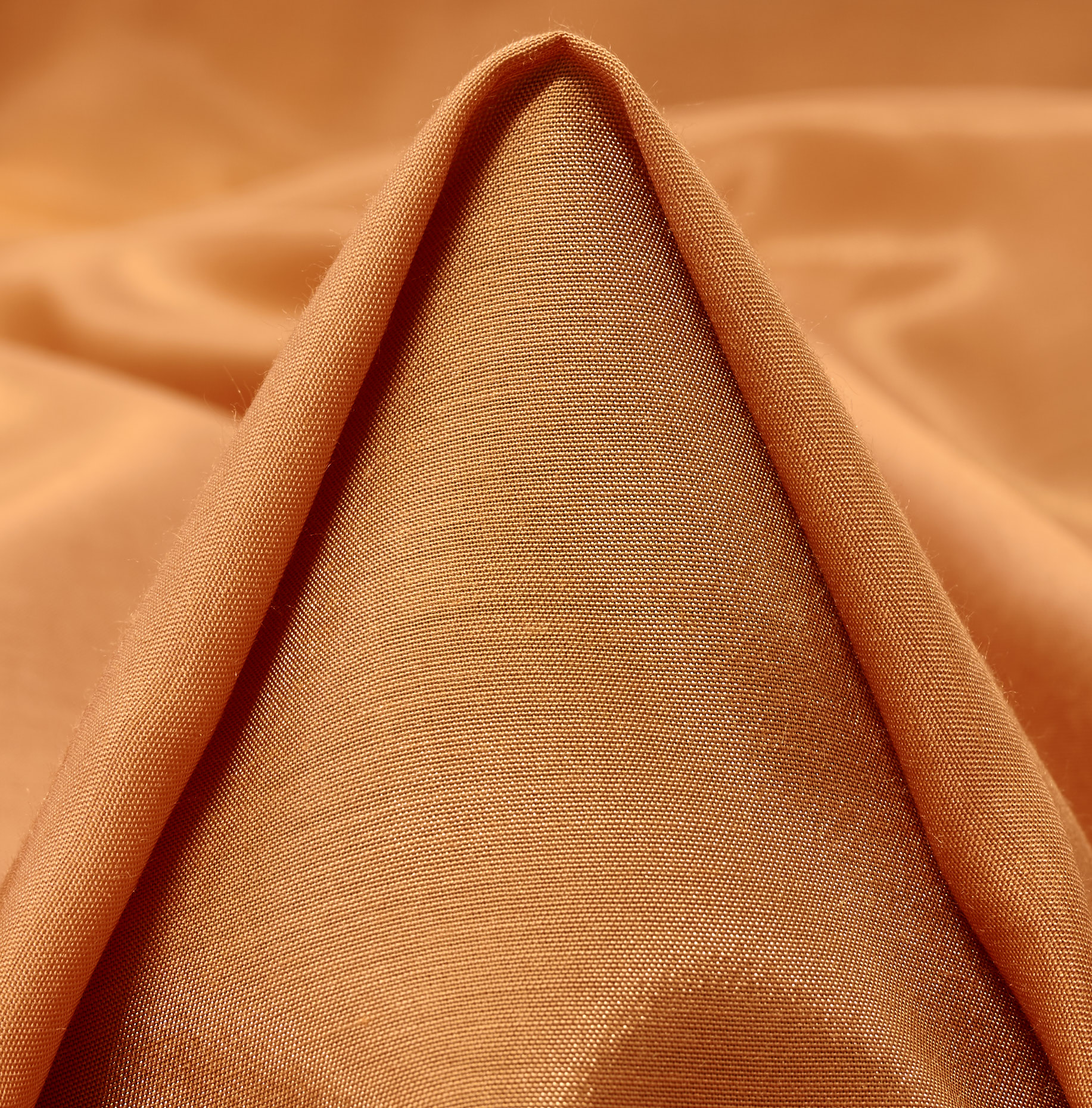 BATISTE, MODAL, WILD ROSE (F000043528)