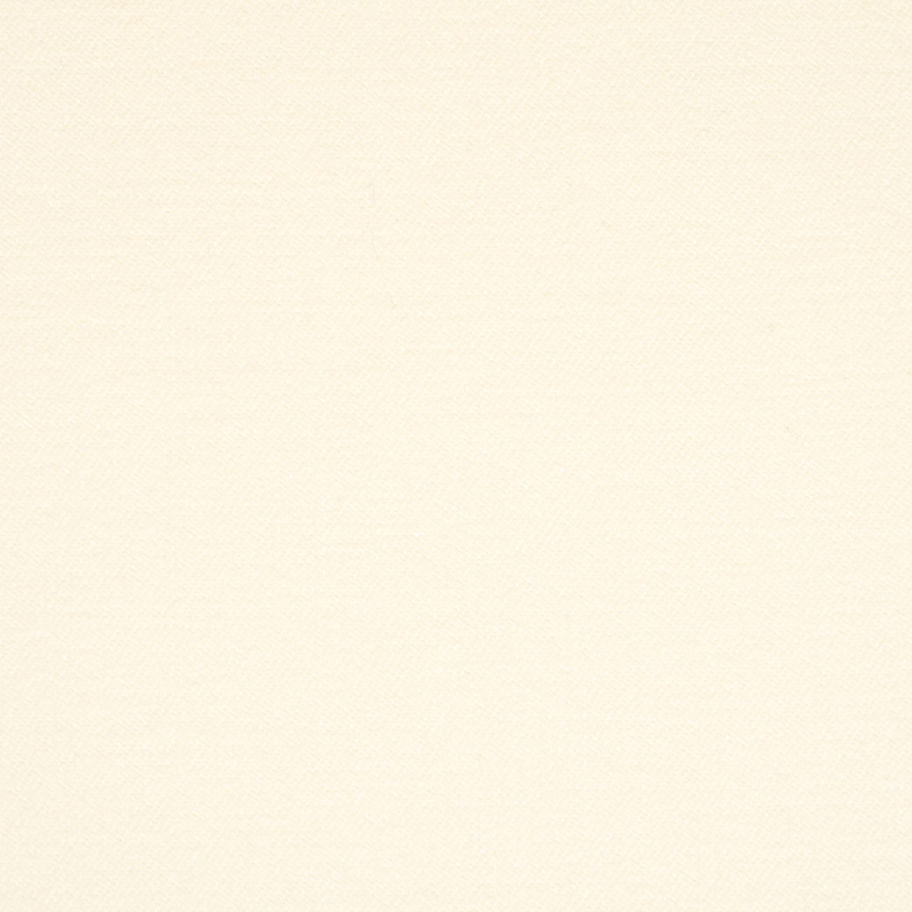 Algodón, Brushed, Marshmallow (F000045106) - Tejido