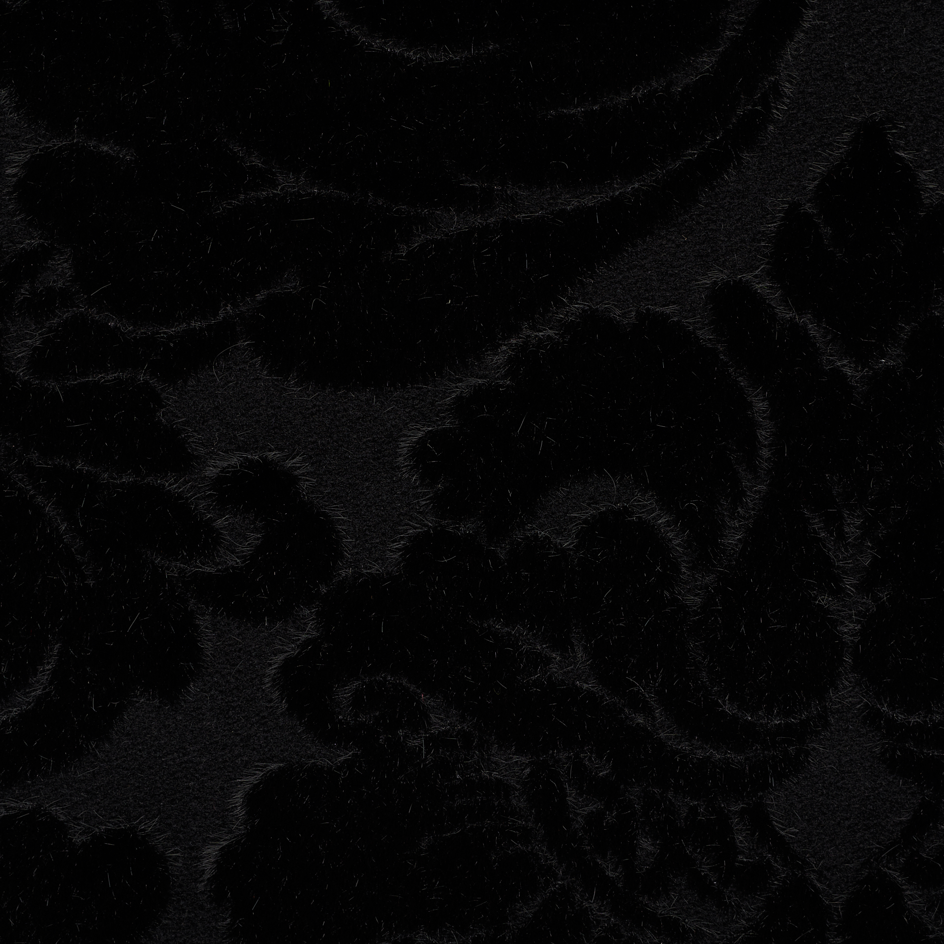Jacquard, Wool, Tone on Tone, Raven Black (F000034177) - Tejido