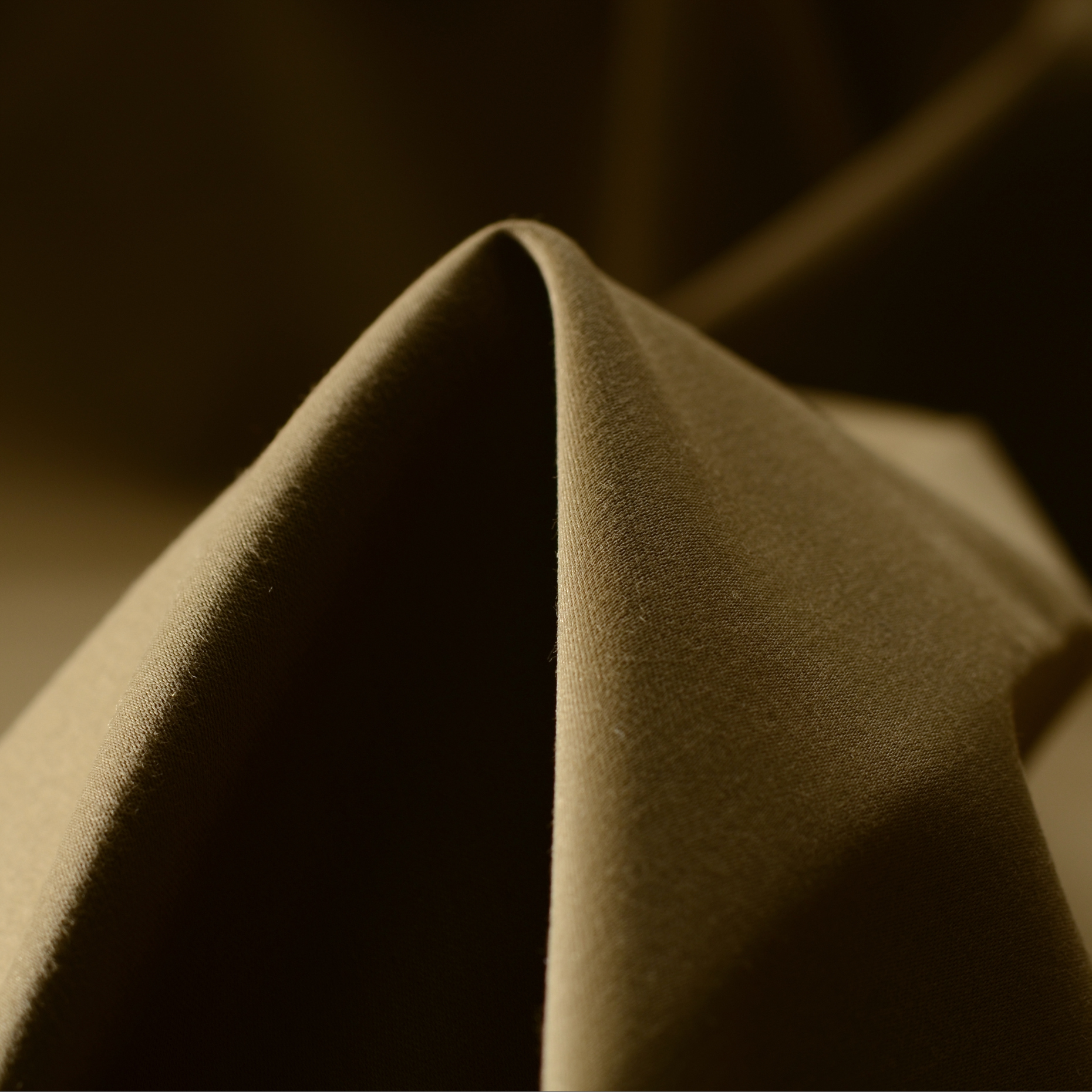 POPLIN, COTTON, ELASTIC, CORNSTALK (F000007964)