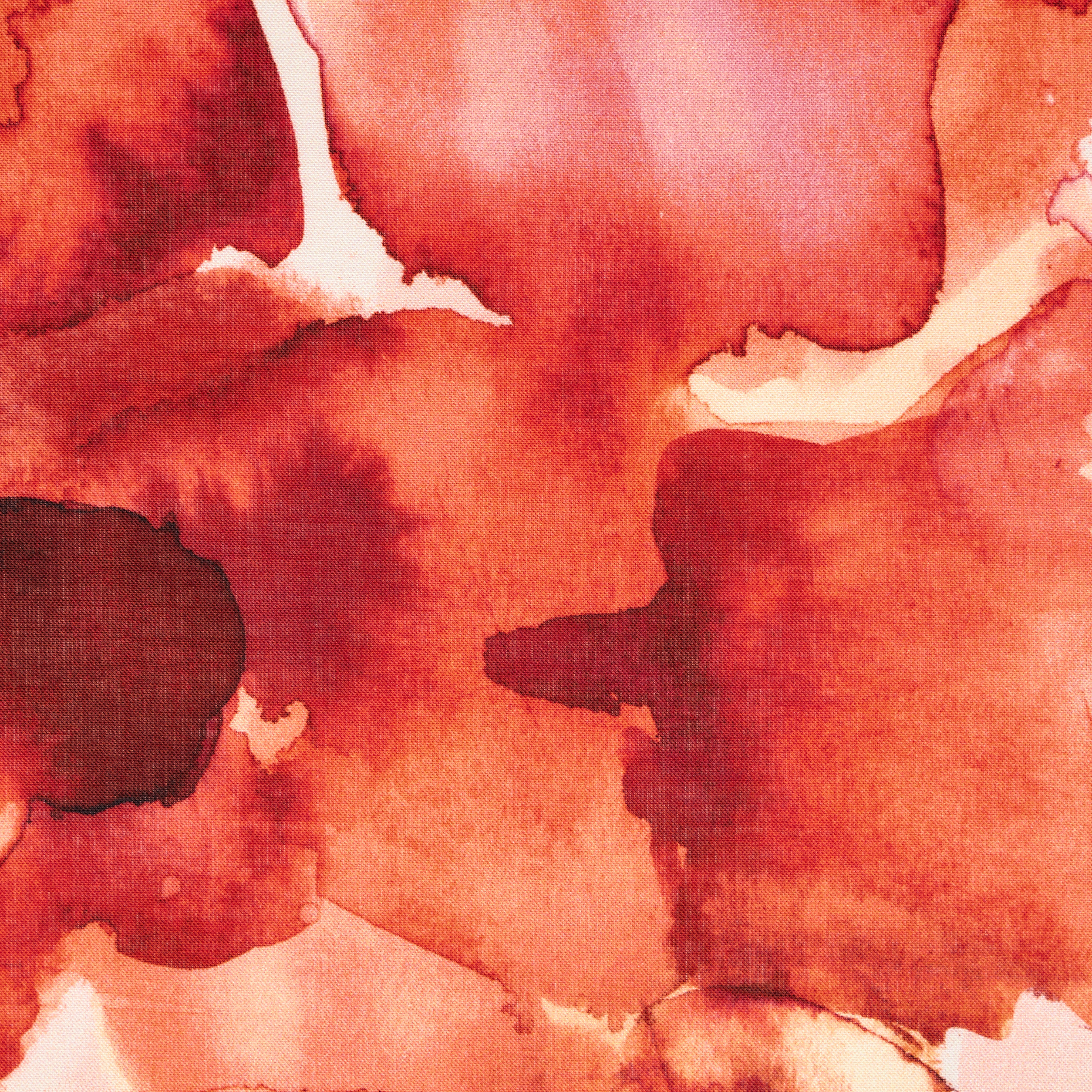 BATISTE, COTTON, PRINTED, POPPY RED&ANTIQUE WHITE (T0000750) - Texture