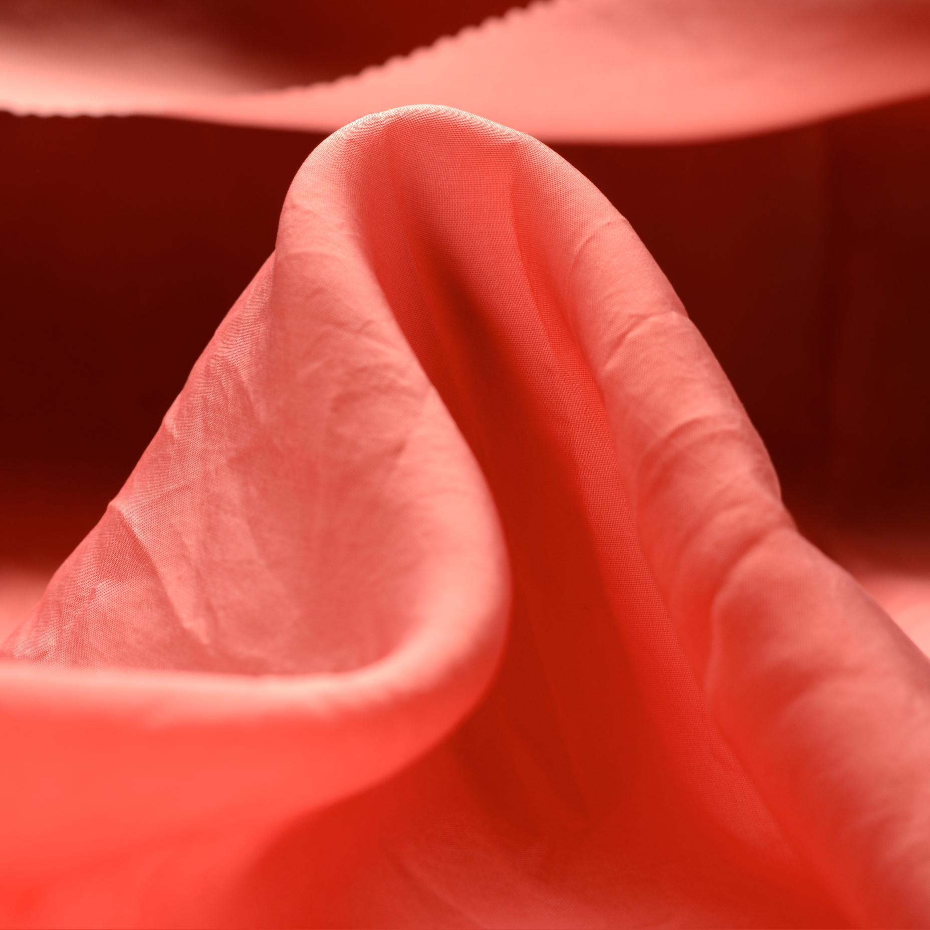 Cupro, Doublure, Shell (F000003750)