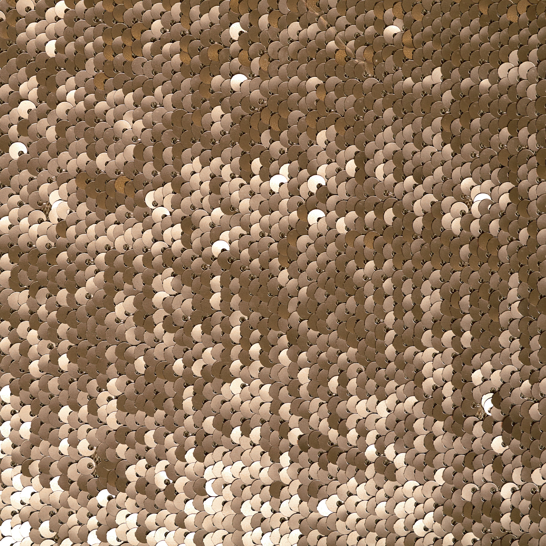 Cekiny, Metaliczny, Połysk, Gilded Beige (F000049120) - Tkana