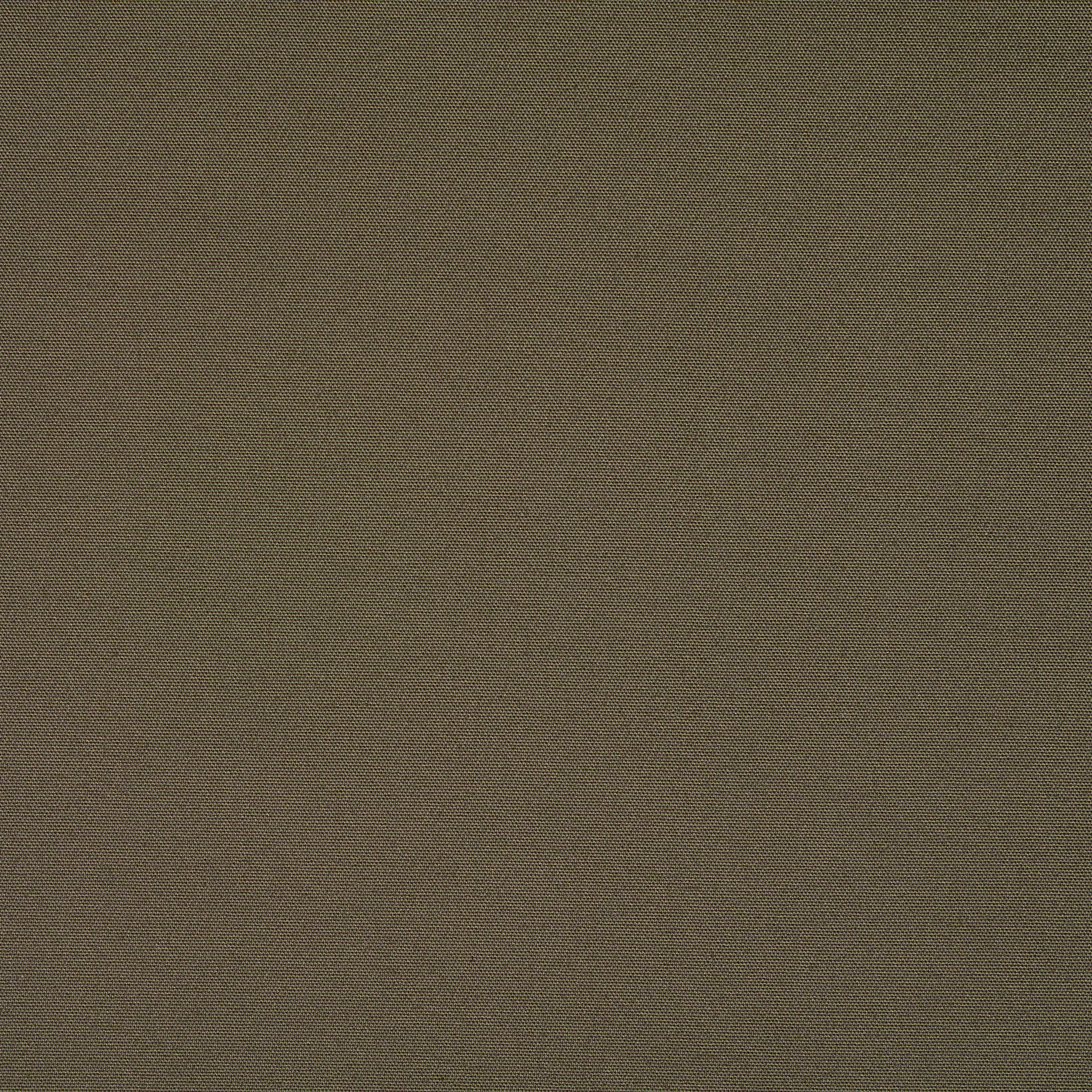 COTTON, ELASTIC, WALNUT (F000048171) - Texture