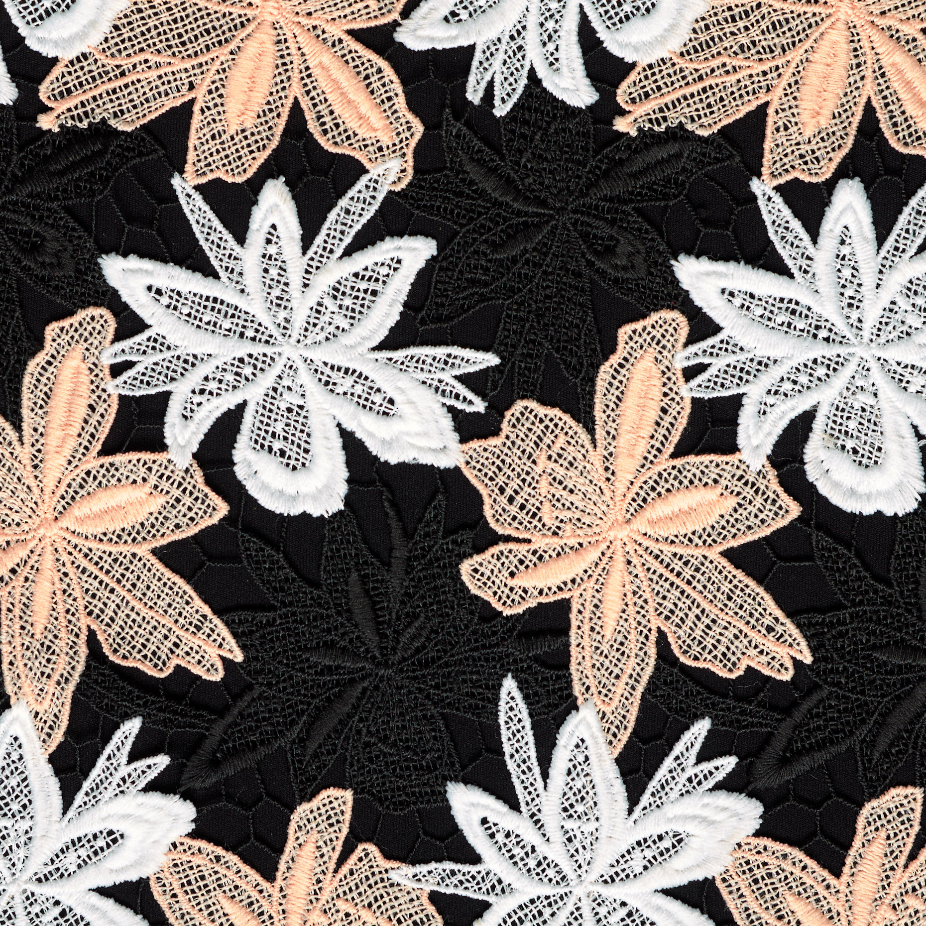 Koronka, Jet Black&Bellini (F000037441) - Tkana