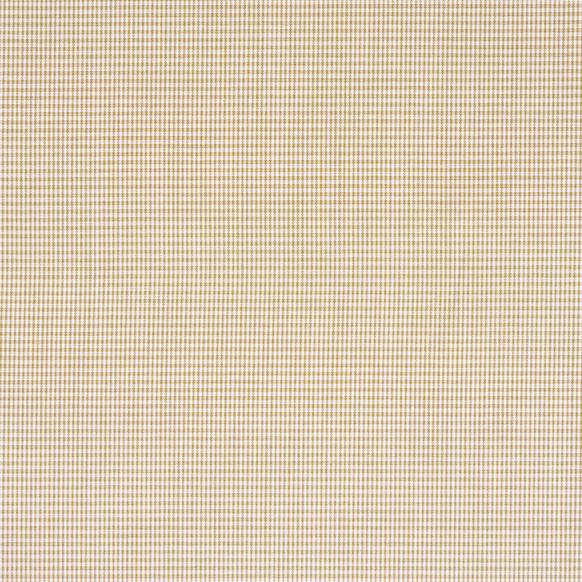 POPLIN, COTTON, MICRO DESIGN, BRILLIANT WHITE&LIGHT TAUPE (F0001654) - Texture