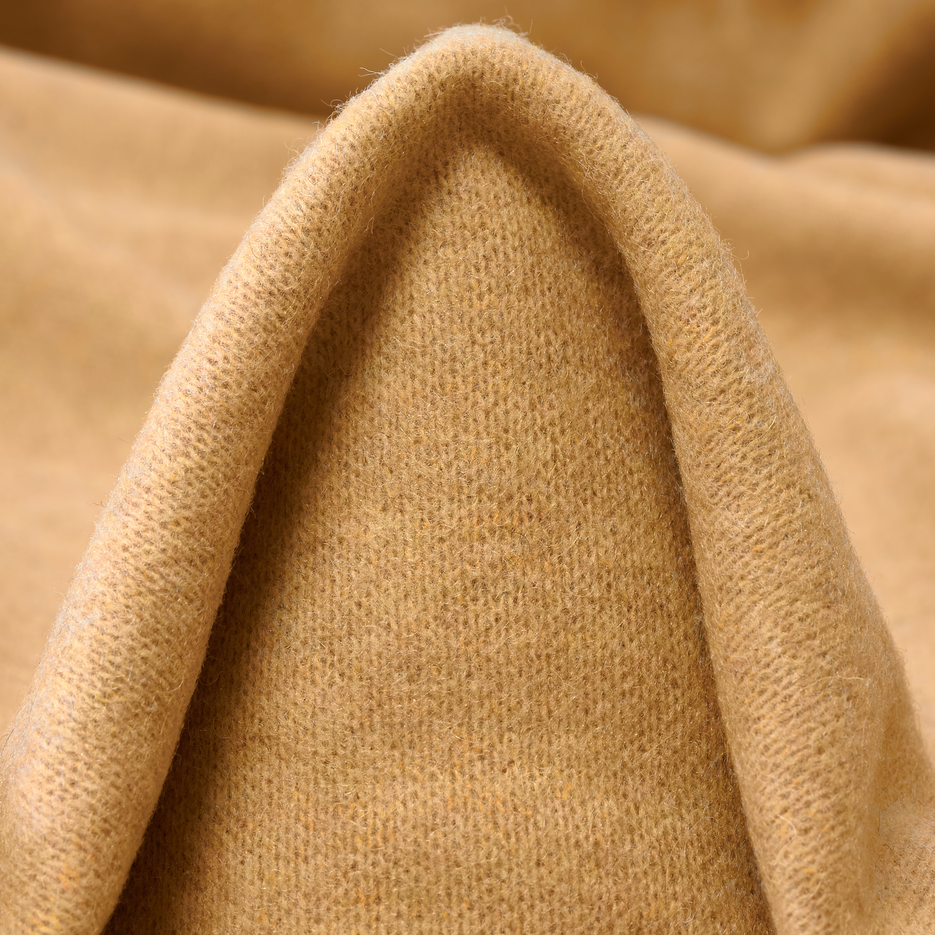 Lana Cotta, Clay (F000047471)