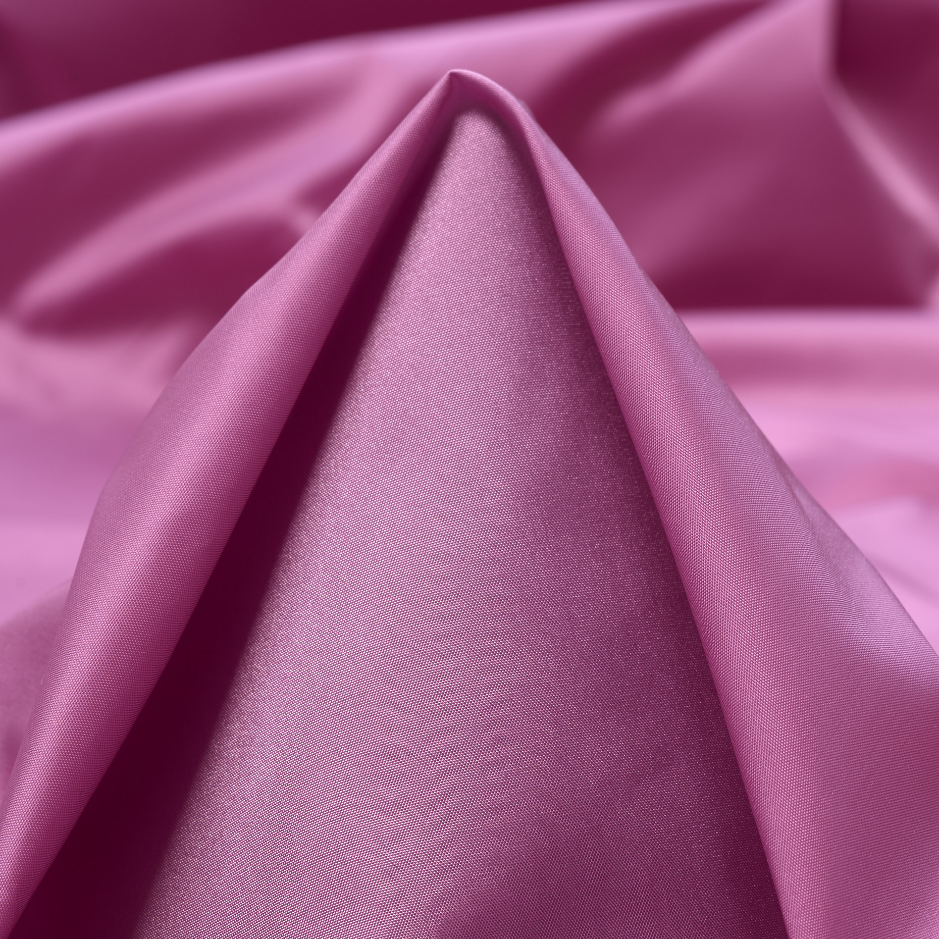 OUTDOOR, CROCUS (F000036009)