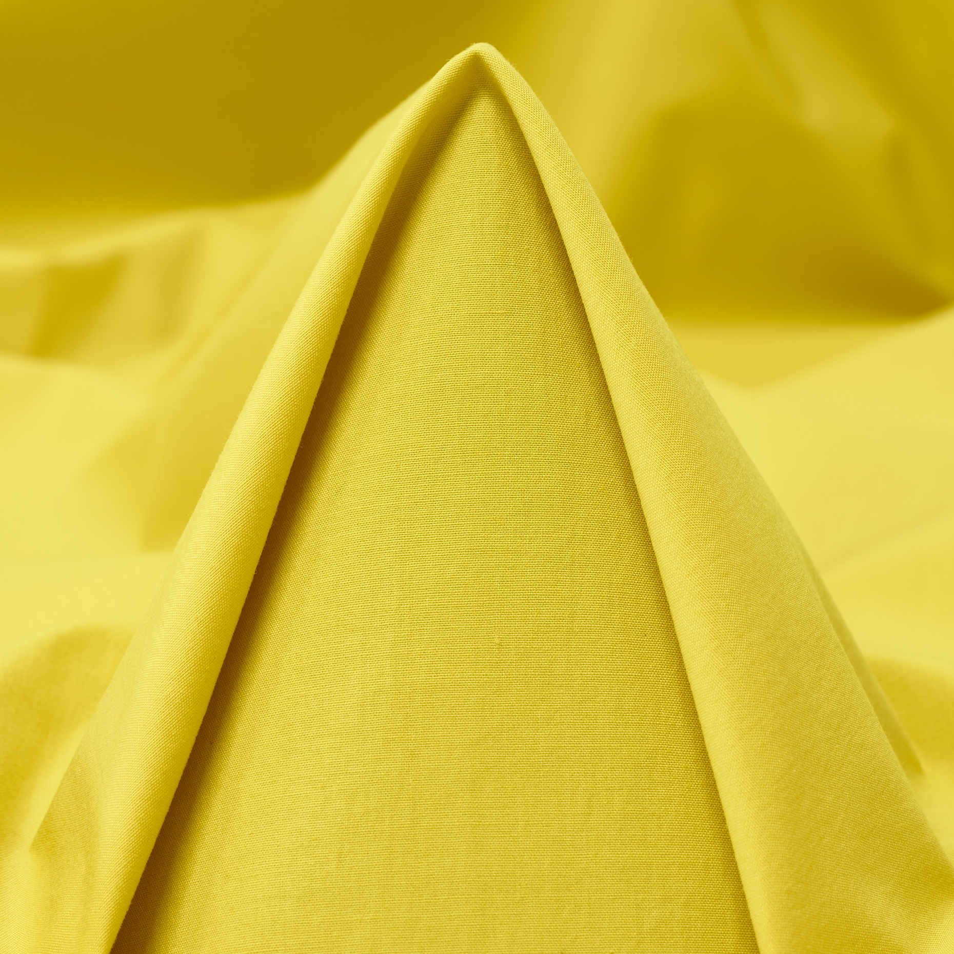 POPLIN, COTTON, ELASTIC, GOLDEN KIWI