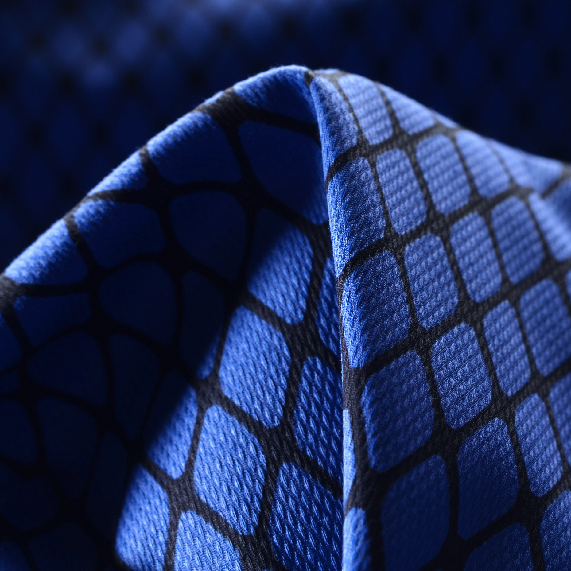 Piqué, Baumwolle Elastik, Bedruckt, Atomic Blue (F000022249)