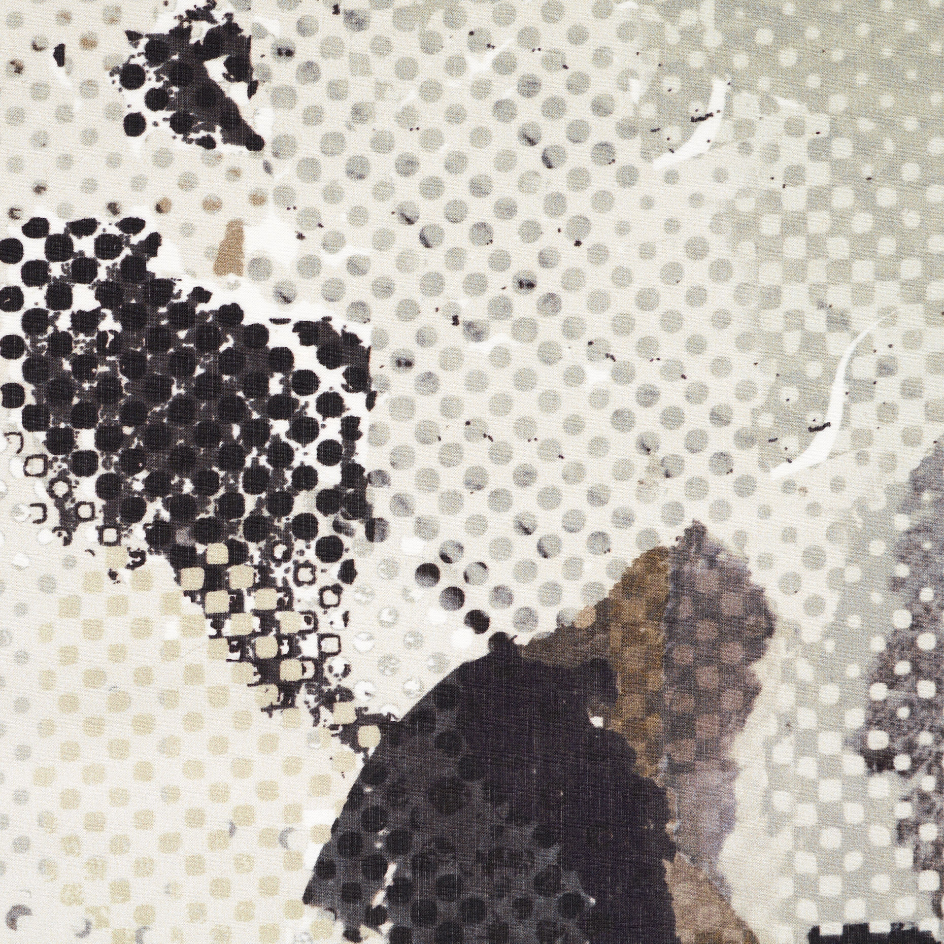 BATISTE, COTTON, PRINTED, AFFOGAT&PECAN PIE (F000031870) - Texture