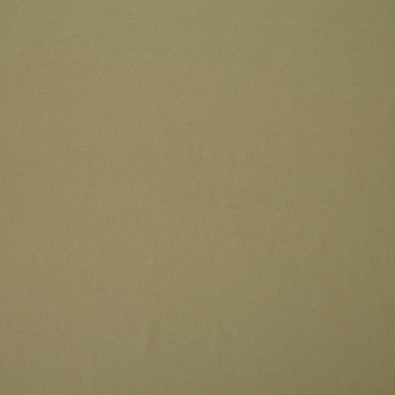 JERSEY, VOILE, SILVER MOSS (F000027473) - Texture