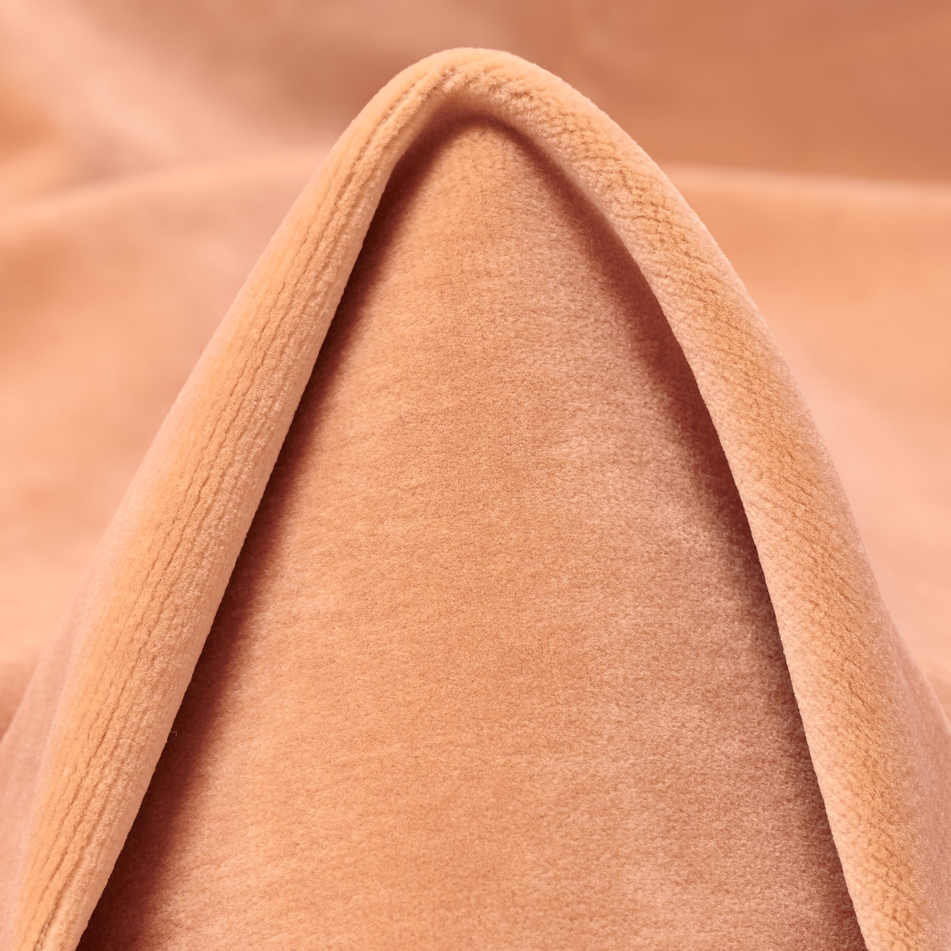 VELVET, COTTON, SHRIMP (C0003600)