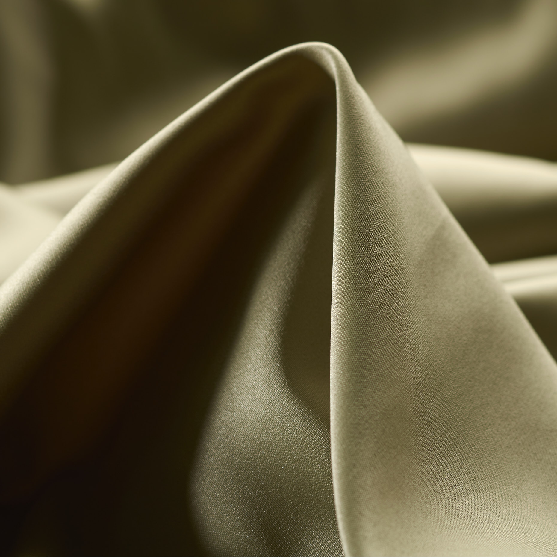 SATIN, ELM (F000026975)